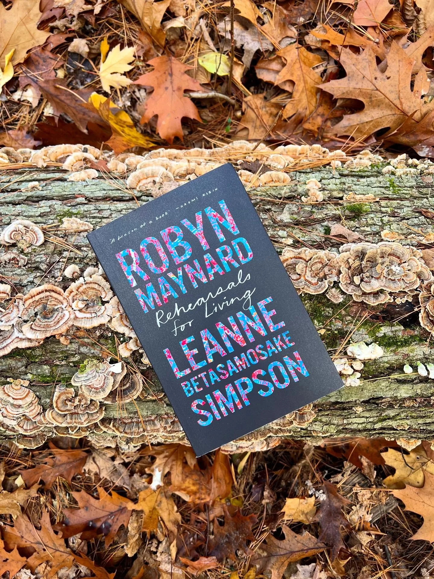 &ldquo;To remix Public Enemy, &lsquo;Armageddon-been-in-effect&rsquo;: it is the apocalypses of slavery and settler colonialism that bind our collective pasts and presents together in the calamity at hand&rdquo;. -Robyn Maynard to Leanne Betasamosake