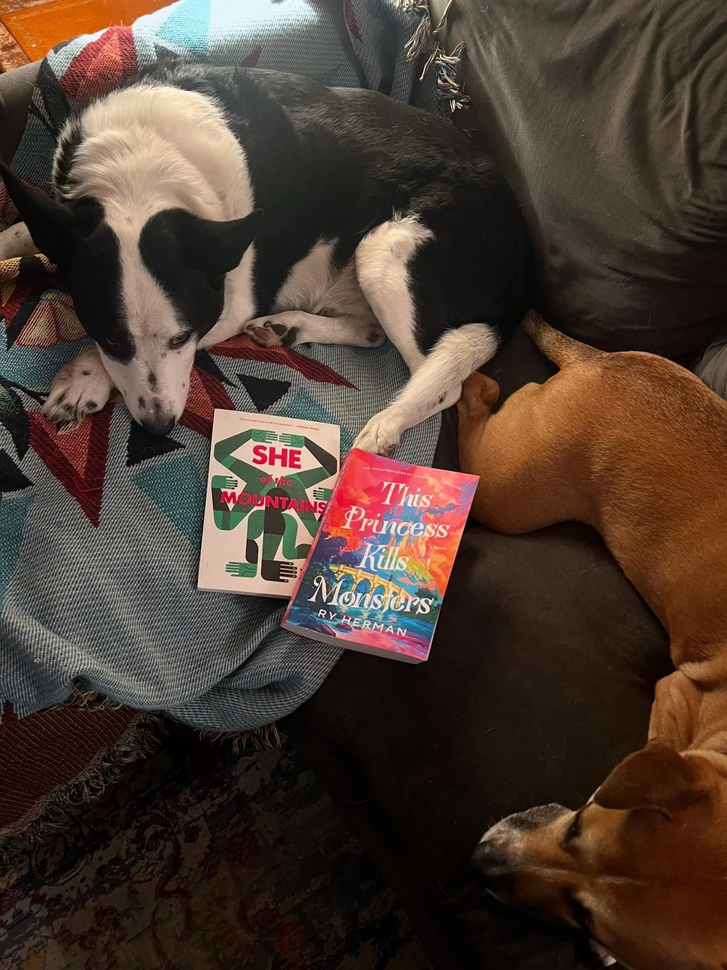 We had a cozy snow day reading book club books and cannot recommend it enough! I&rsquo;m really loving both these picks and can&rsquo;t wait to discuss them.