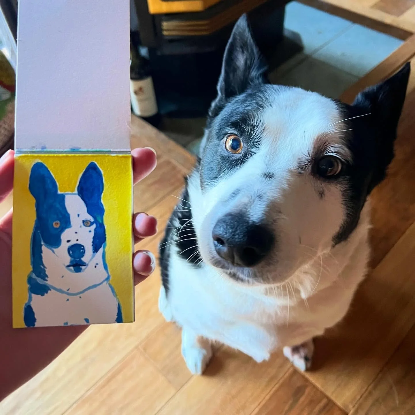 2025 recap part 2

The last half of 2025 was filled with so many fun events, friends new and old. We are enjoying slowing down, recalibrating and resting this winter, now that the holidays are over. We&rsquo;re dreaming up some more fun adventures, a