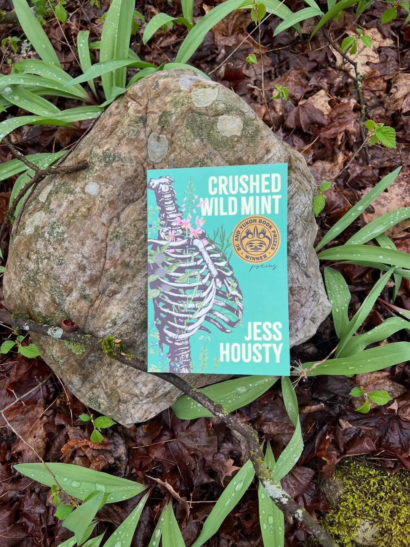 We read Crushed Wild Mint for the Strength in Community Book Club this month. This year we have branched out of strictly nonfiction, and I was keen to pick a poetry collection that spoke to the book club&rsquo;s focus on building community. With its 