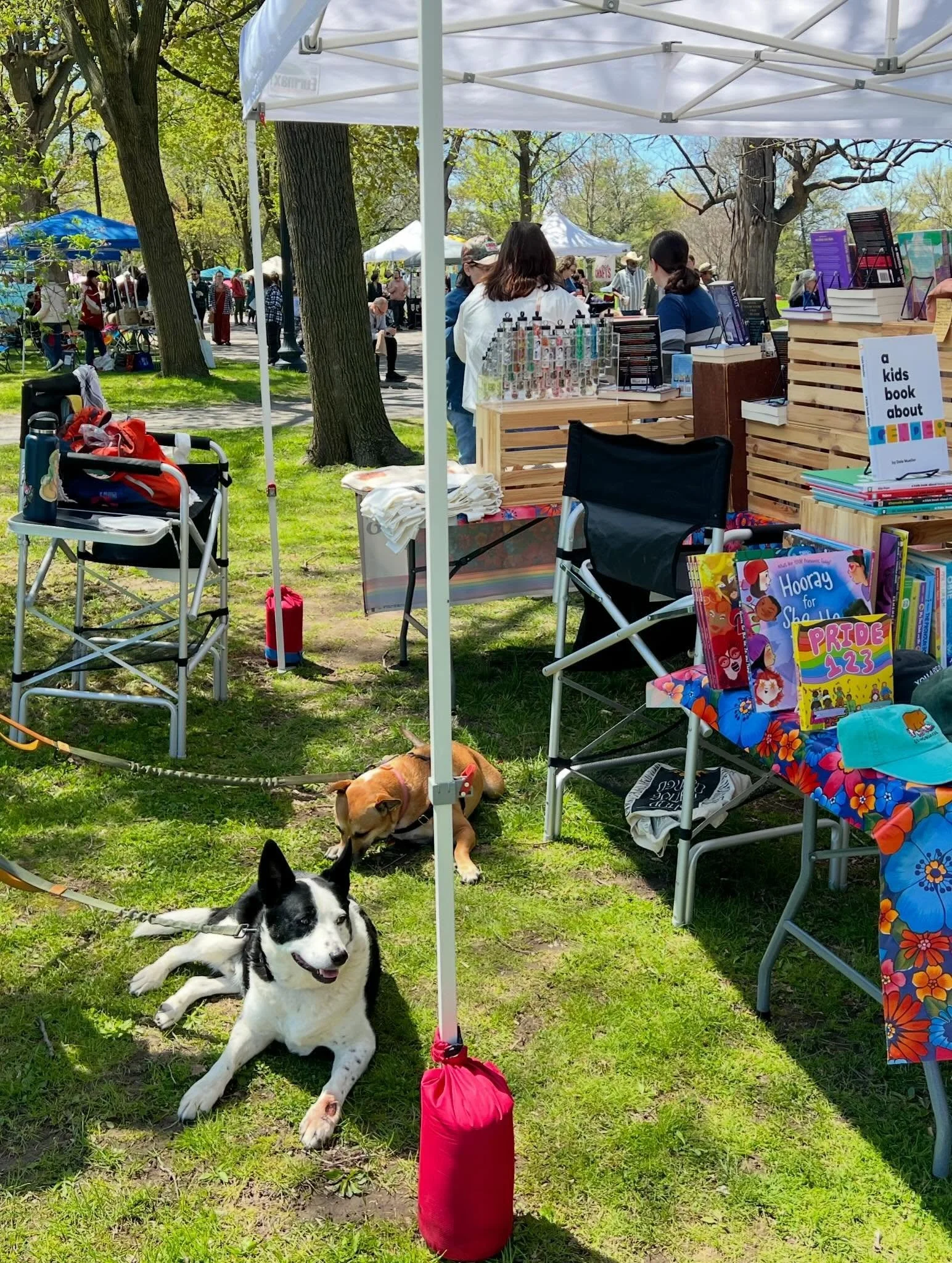 Our first outdoor event of 2026 was so lovely! It was gorgeous, the bookstore pups were hard at work, I got a new watch from @janescuriousfinds and I made a new corvid friend. Thank you to everyone who came and said hi and thank you to @cyrenromeo an