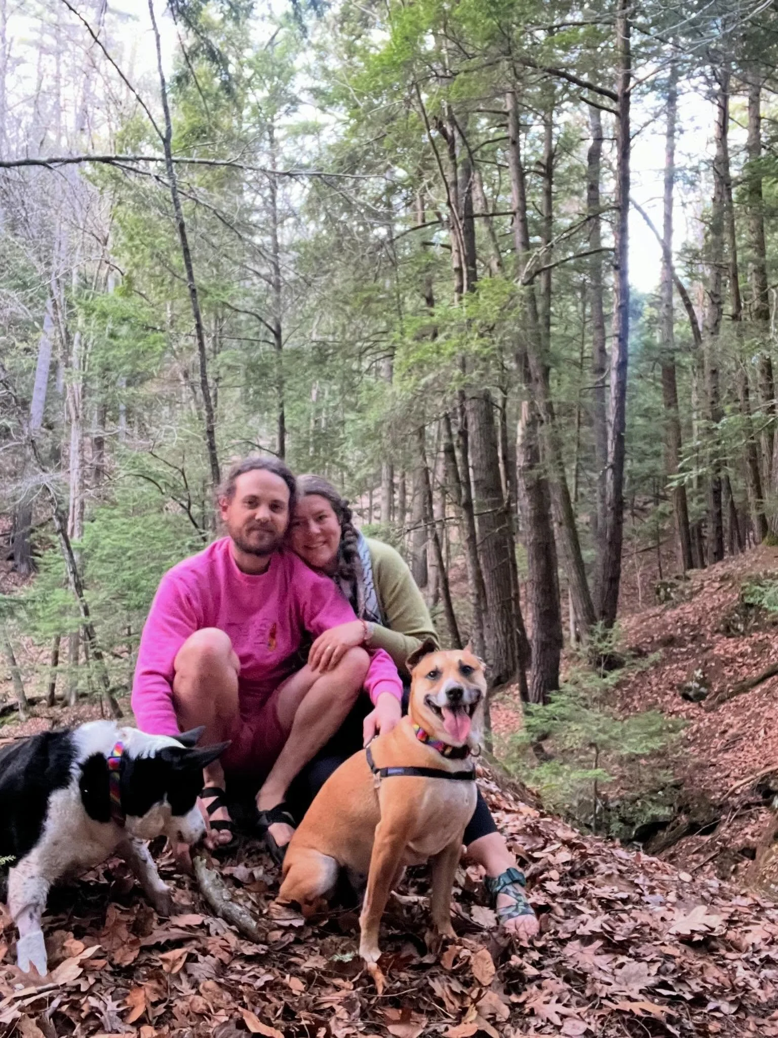 We took Charlie and Theo on a little adventure back to where Blaze proposed today. It was magical and so sweet. We saw 3 beavers who swam right up to us and hung out. Charlie got lots of fetches in and Theo got to romp with him a little. Swimming see