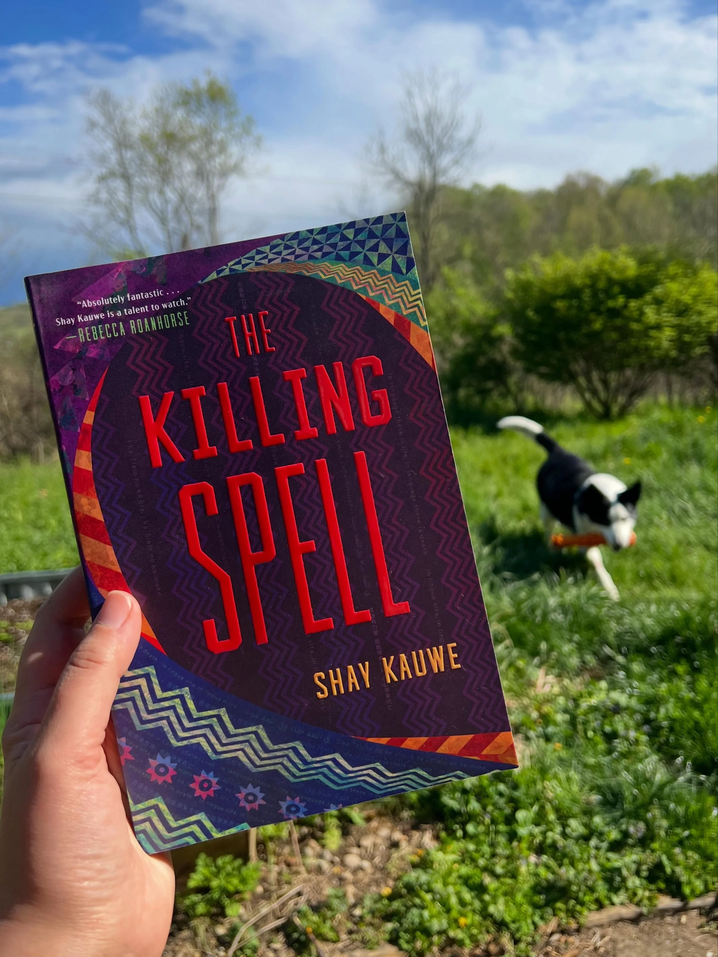 We are reading The Killing Spell by @shaykauwe for On the Same Page Book Club and I am so excited. This book has been on my TBR since I heard a whisper that it was going to be published over a year ago. It is a fantasy book where &ldquo;murder myster