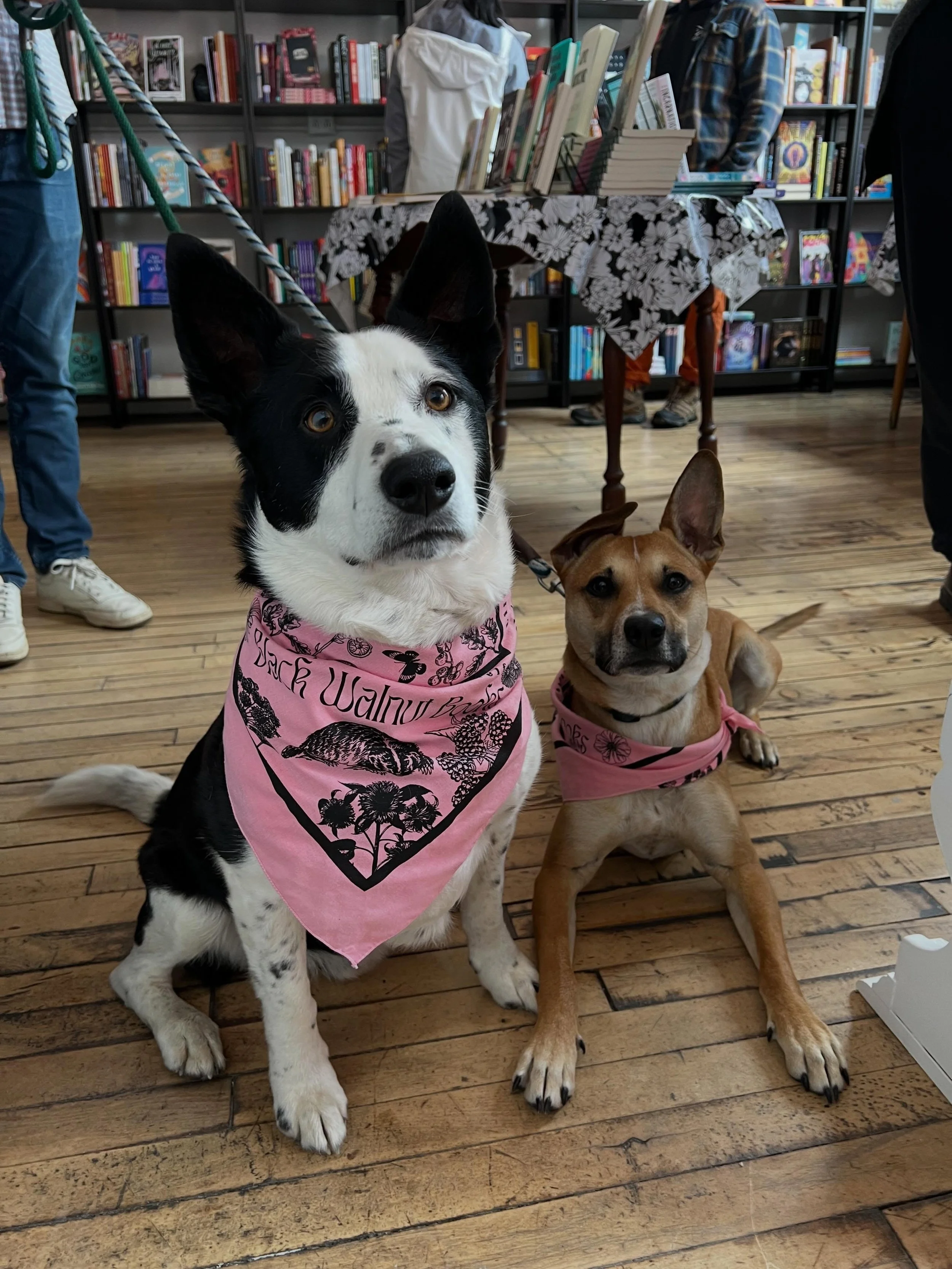 This is going to be our last weekend with our sweet bookstore pup Charlie. He is the best boy and we love him so much. We did everything we could to help him feel better, but unfortunately we have run out of time. Thank you all for the support throug