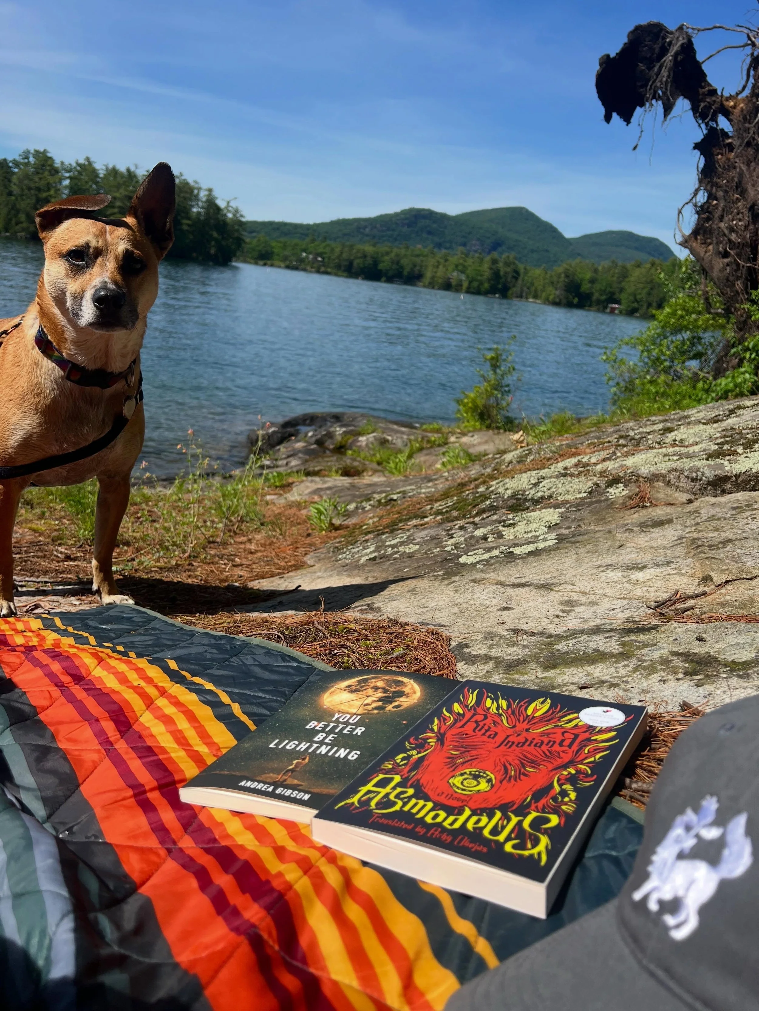We leave for our wedding in California in just under a week! We wanted to make sure we got a lake day before go, and yesterday was the perfect day for it. We swam, Theo chased some waves and we read on a blanket surrounded by wild flowers. There are 