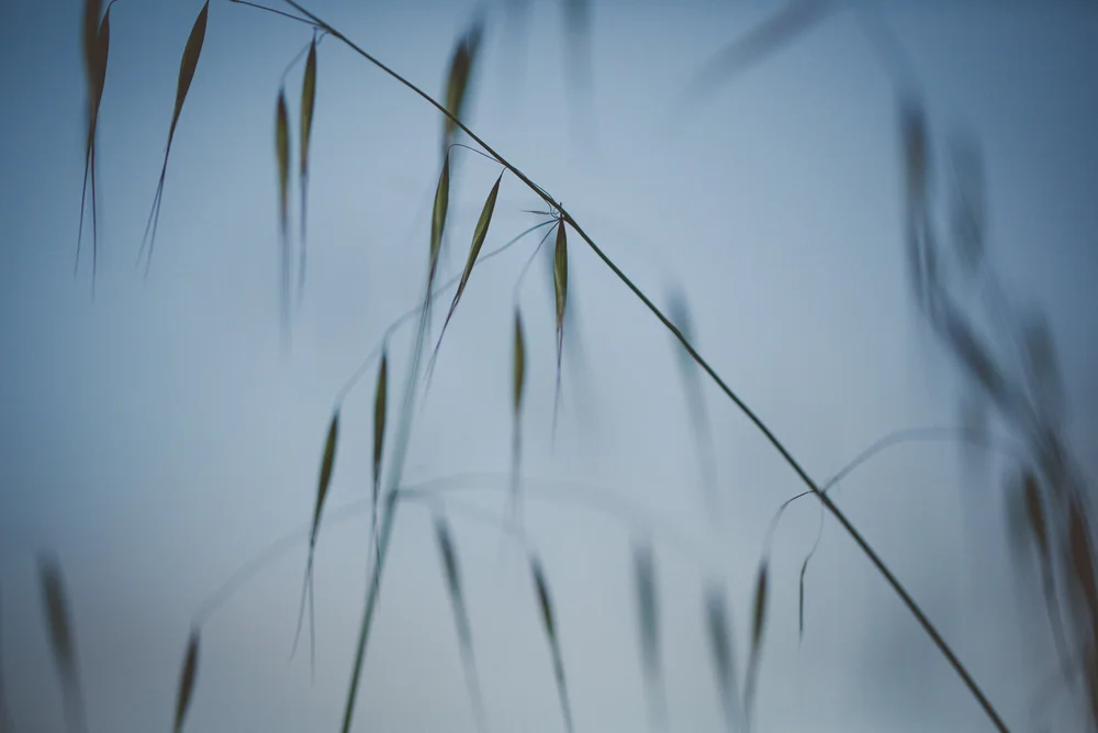 Cultivating Connections