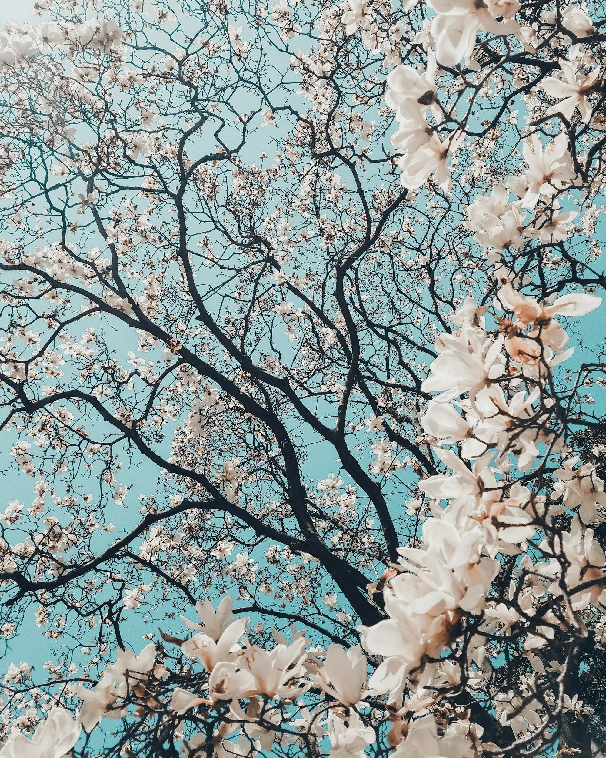 unsplash-image-7NBO76G5JsE.jpg