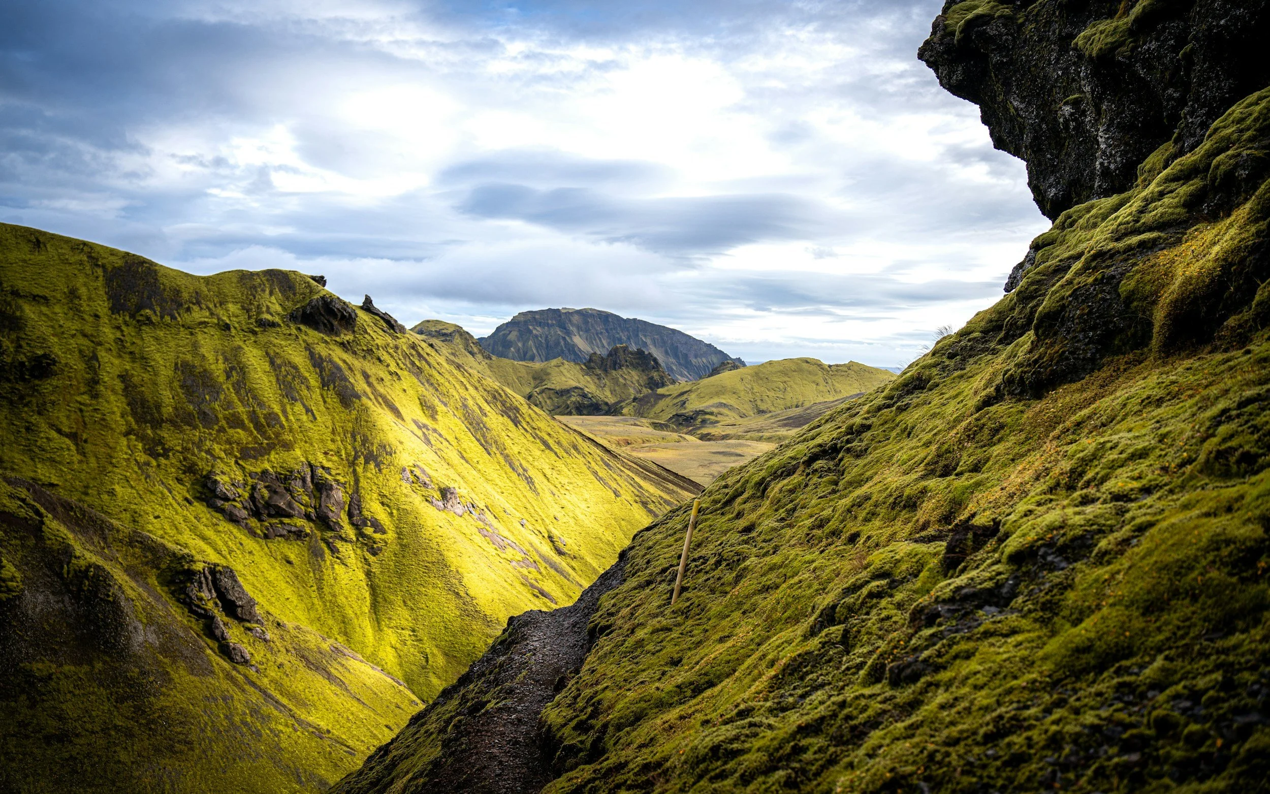 unsplash-image-BXFg9GaO6dY.jpg