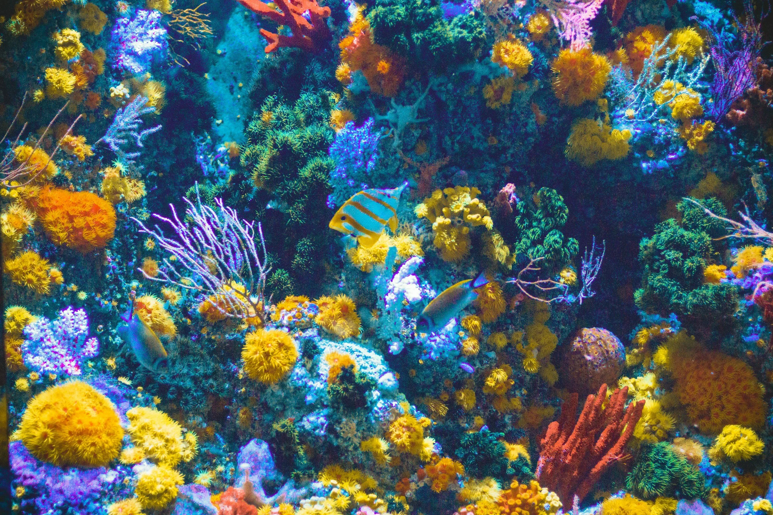 unsplash-image-v8Un2Roo1Ak.jpg