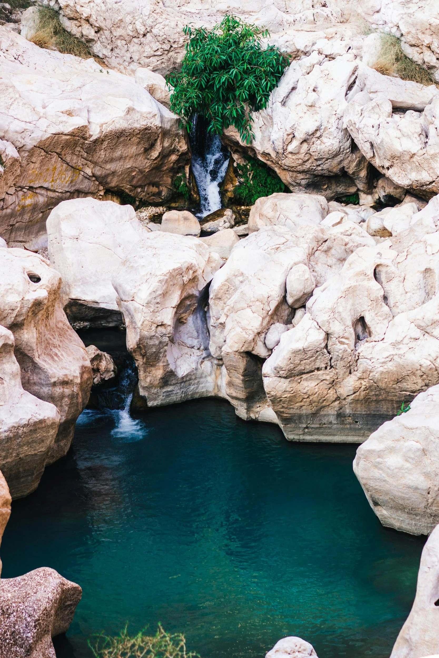 unsplash-image-KZCnvR-vdqU.jpg