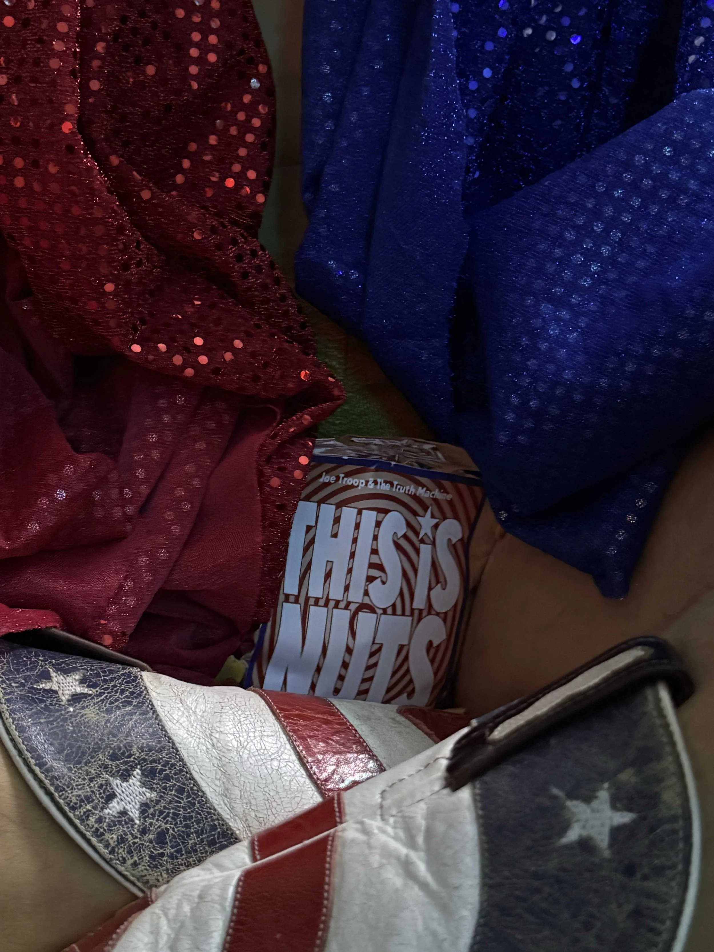 Joe Troop - This Is Nuts 1.jpg