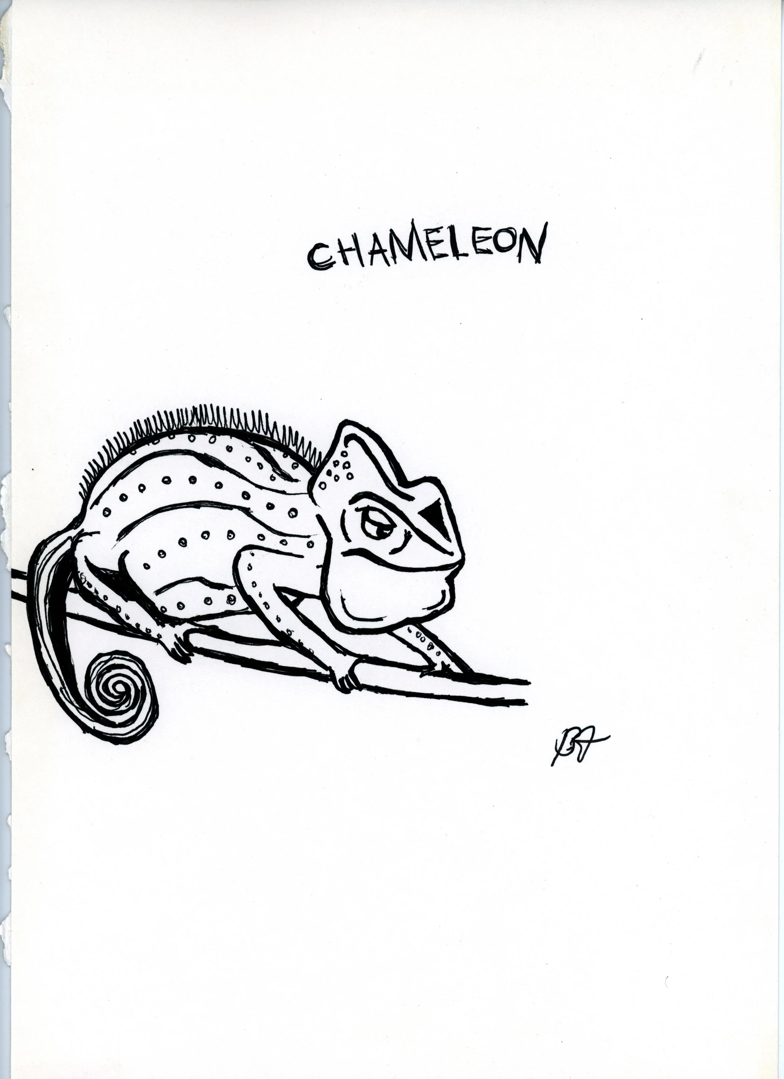 chameleon jpeg.jpg