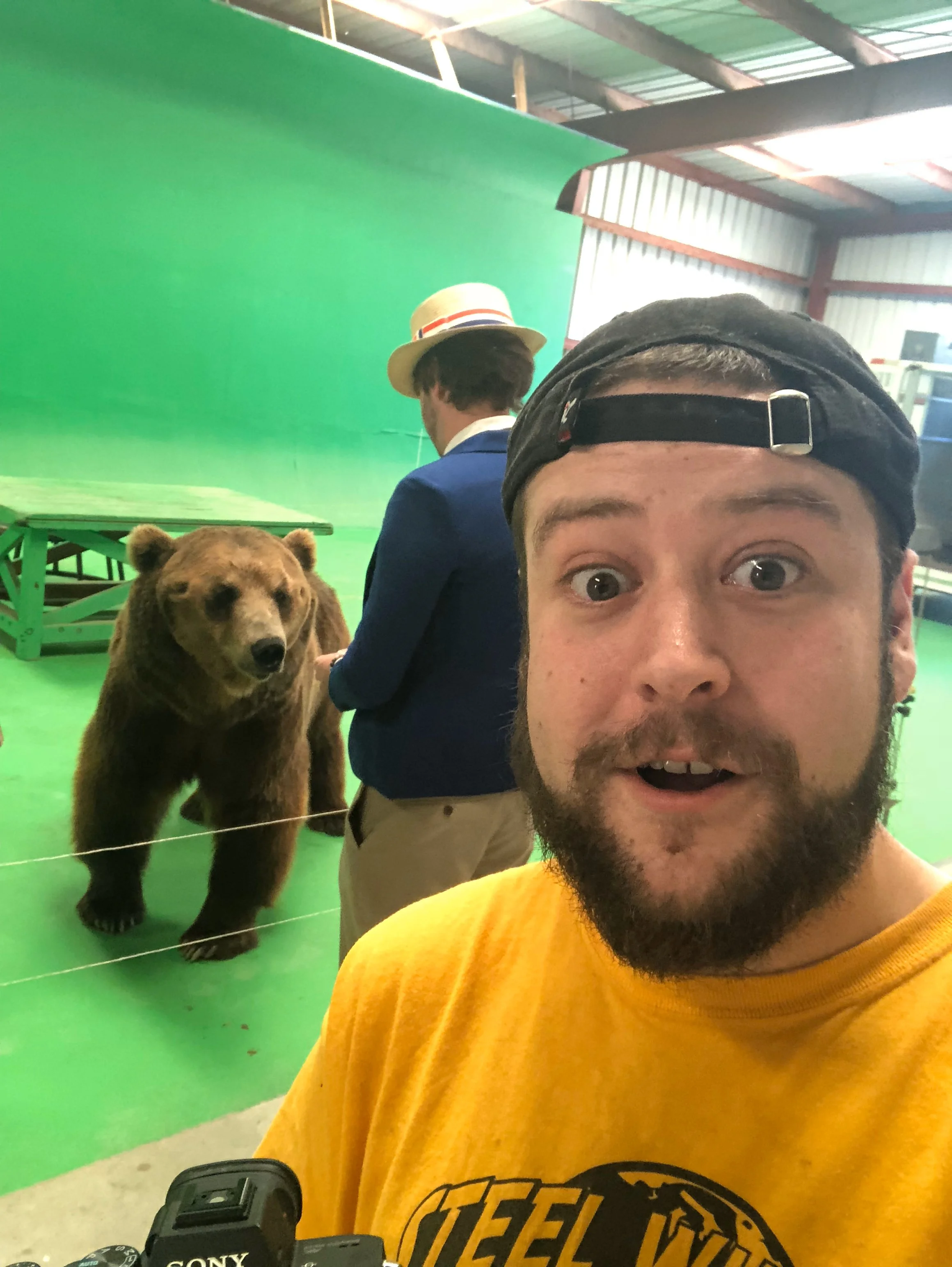 bear 1.jpg