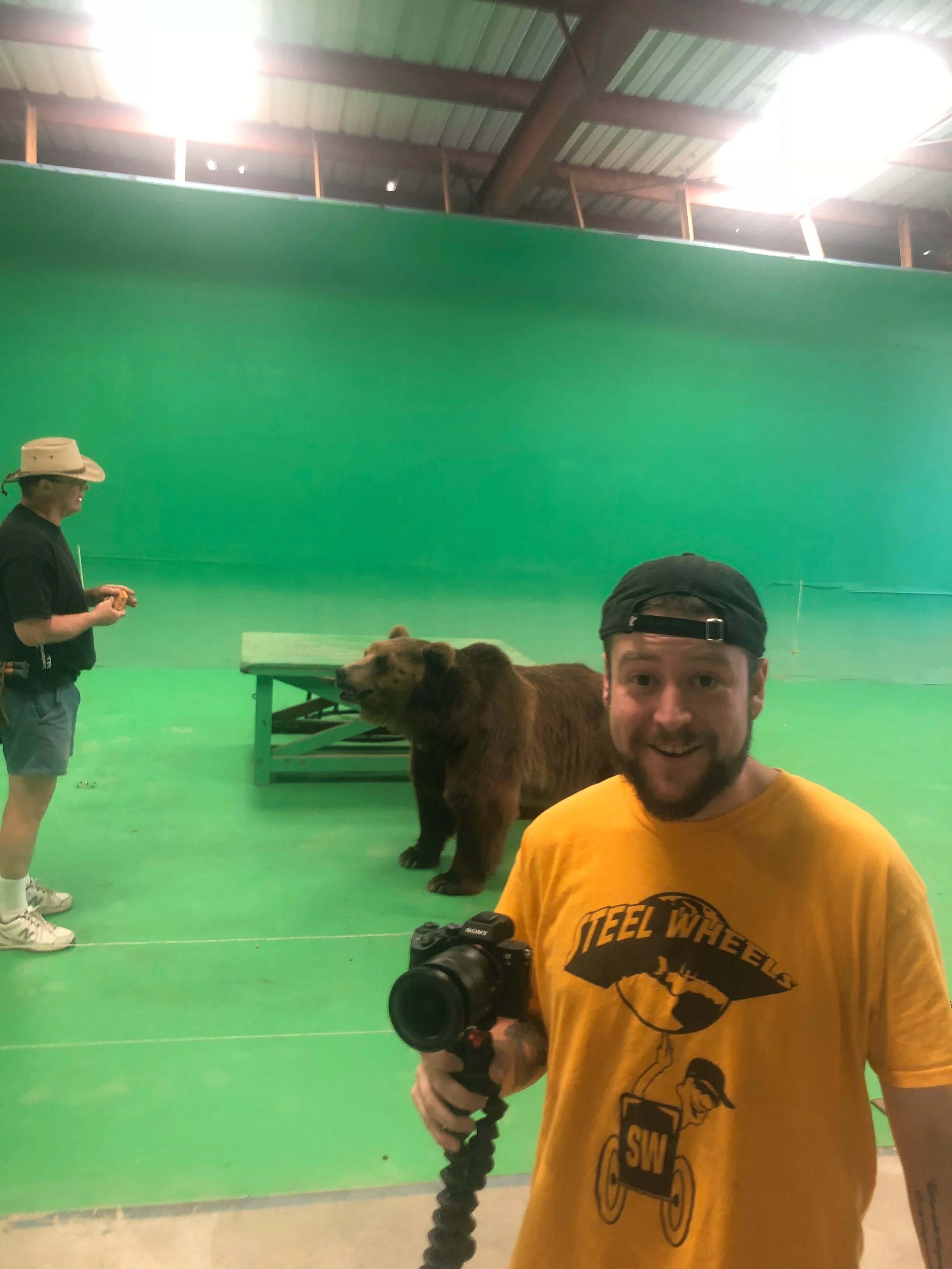 bear 2.jpg