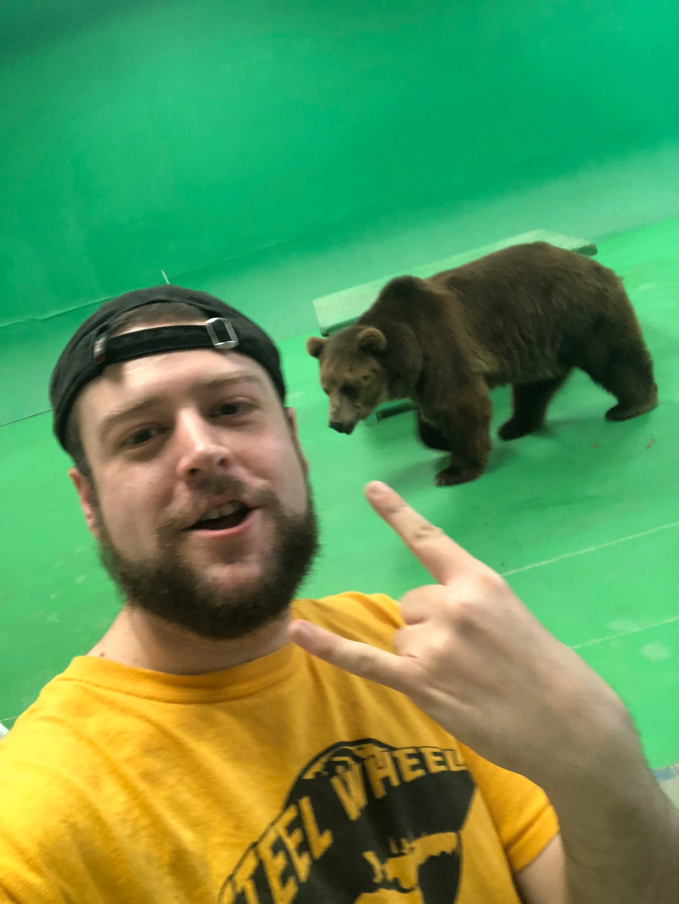 bear 3.jpg