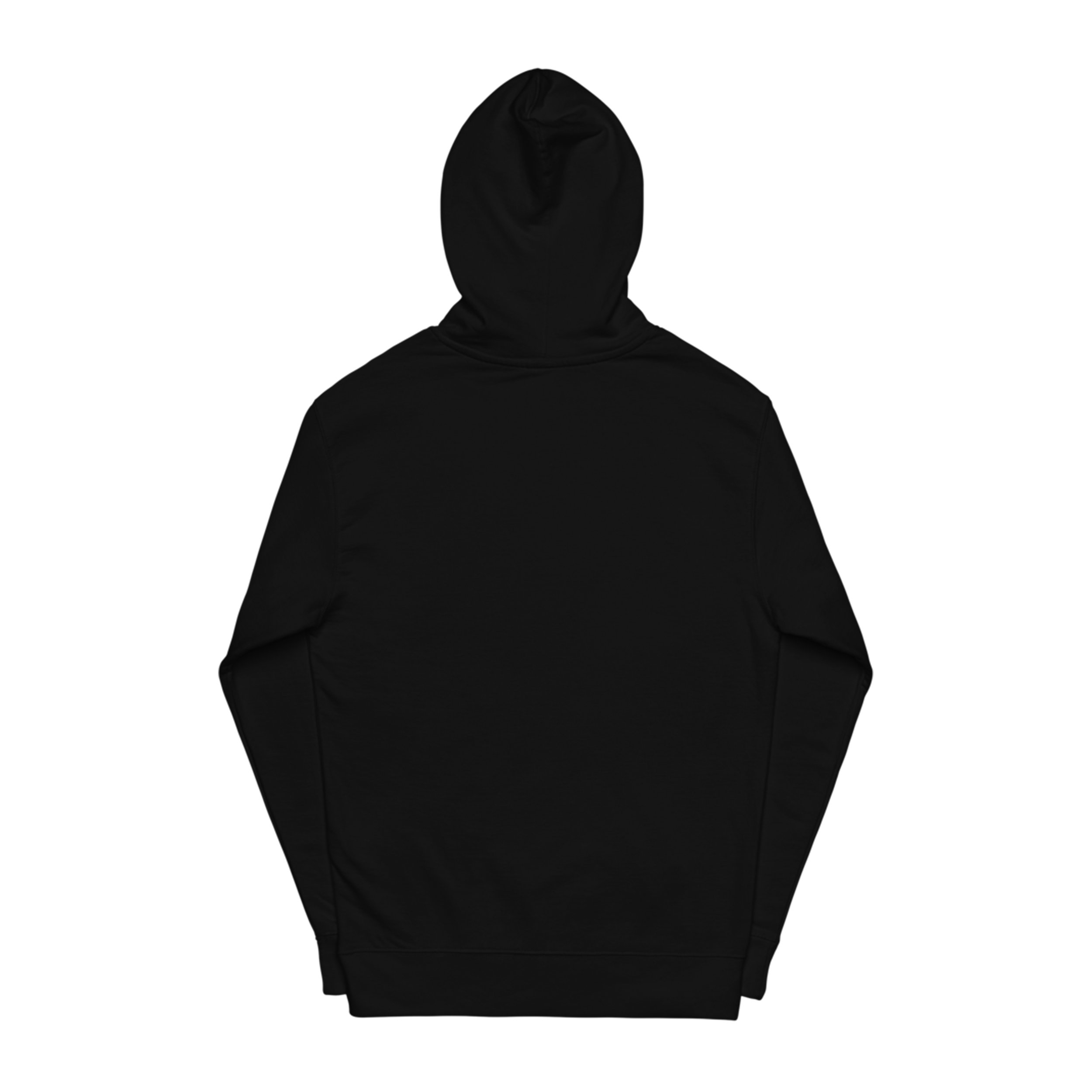 Burning Planet Hoodie Back.jpg