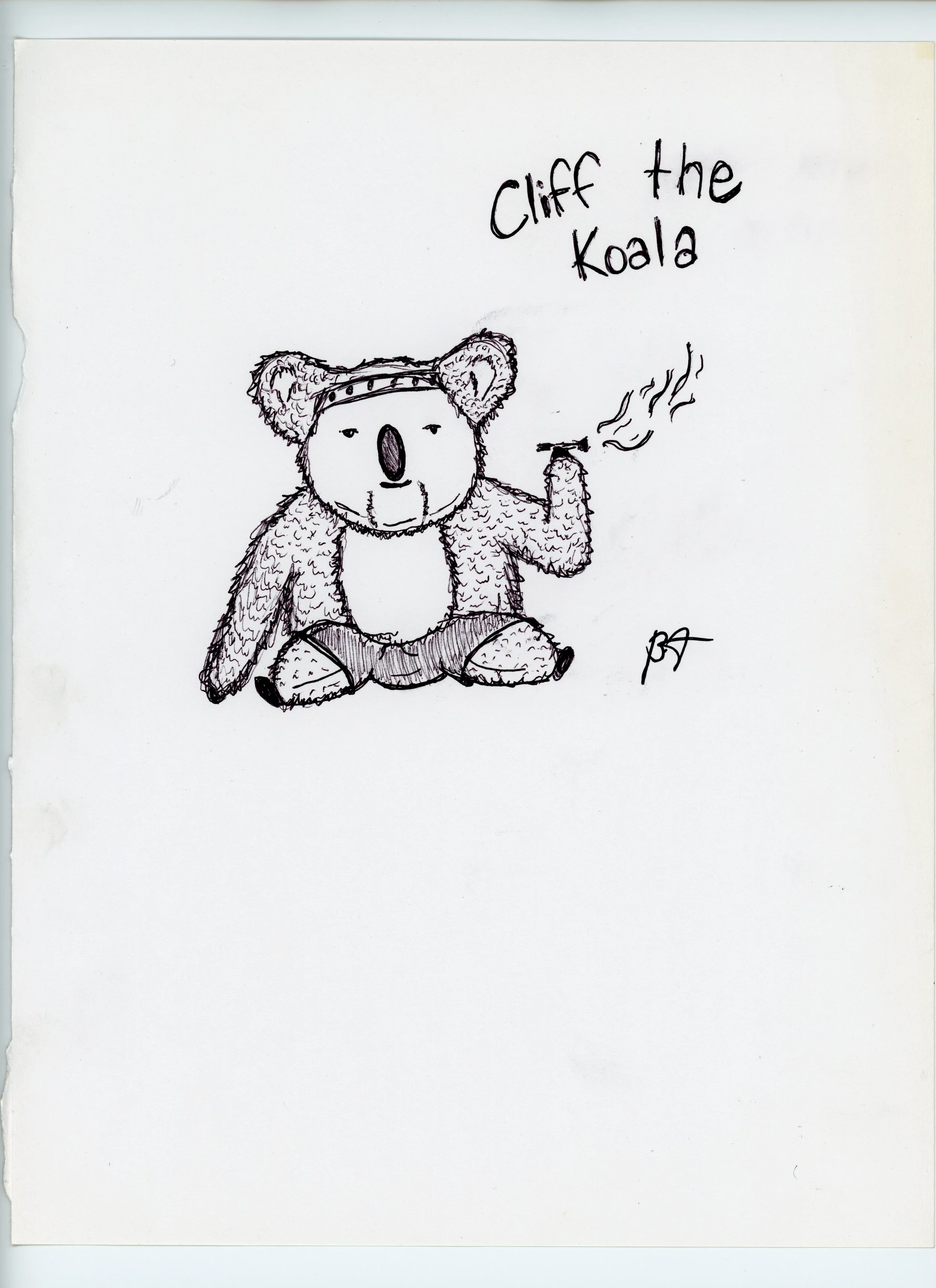 Cliff The Koala jpeg.jpg