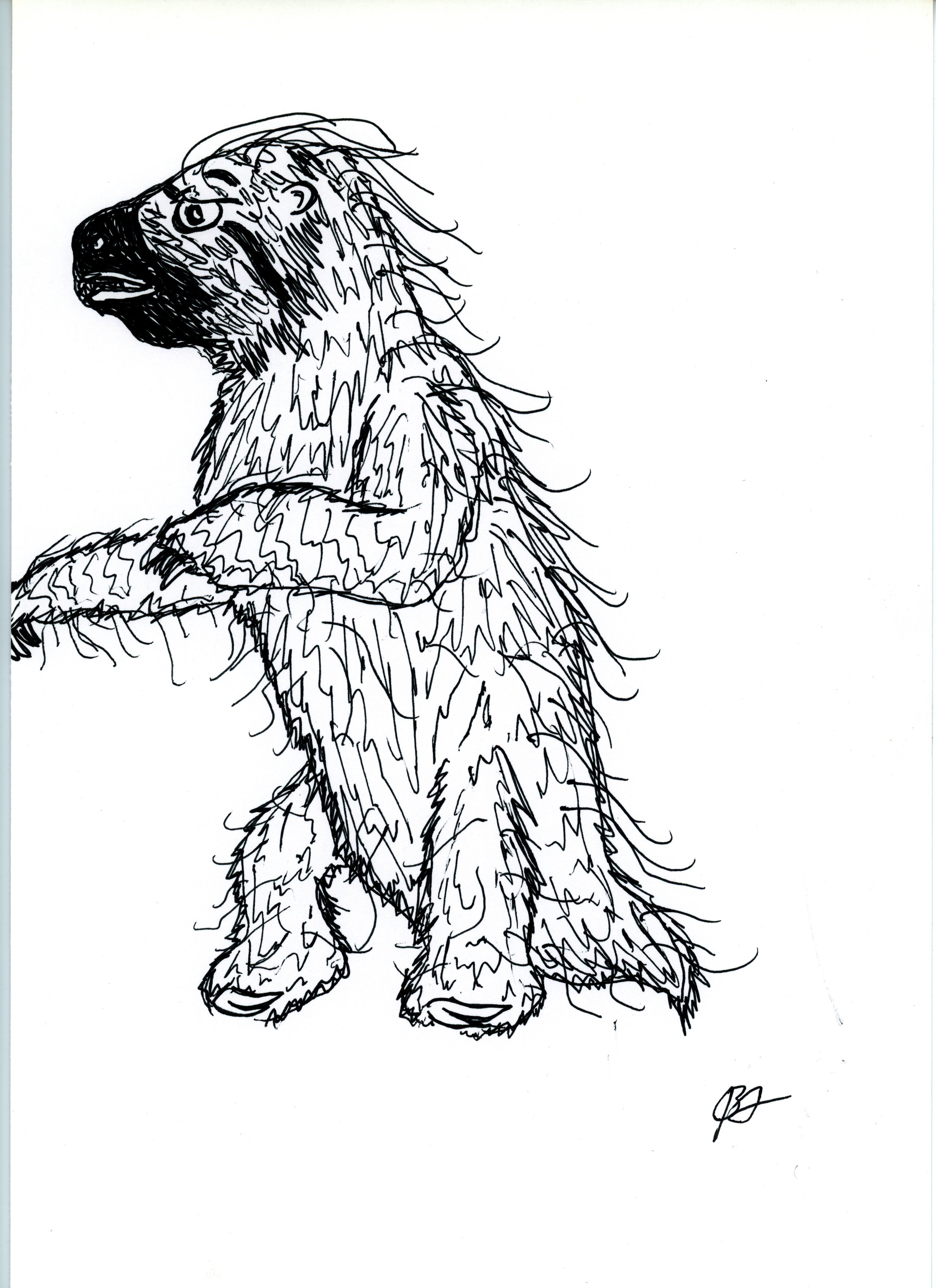 sloth 3 jpeg.jpg