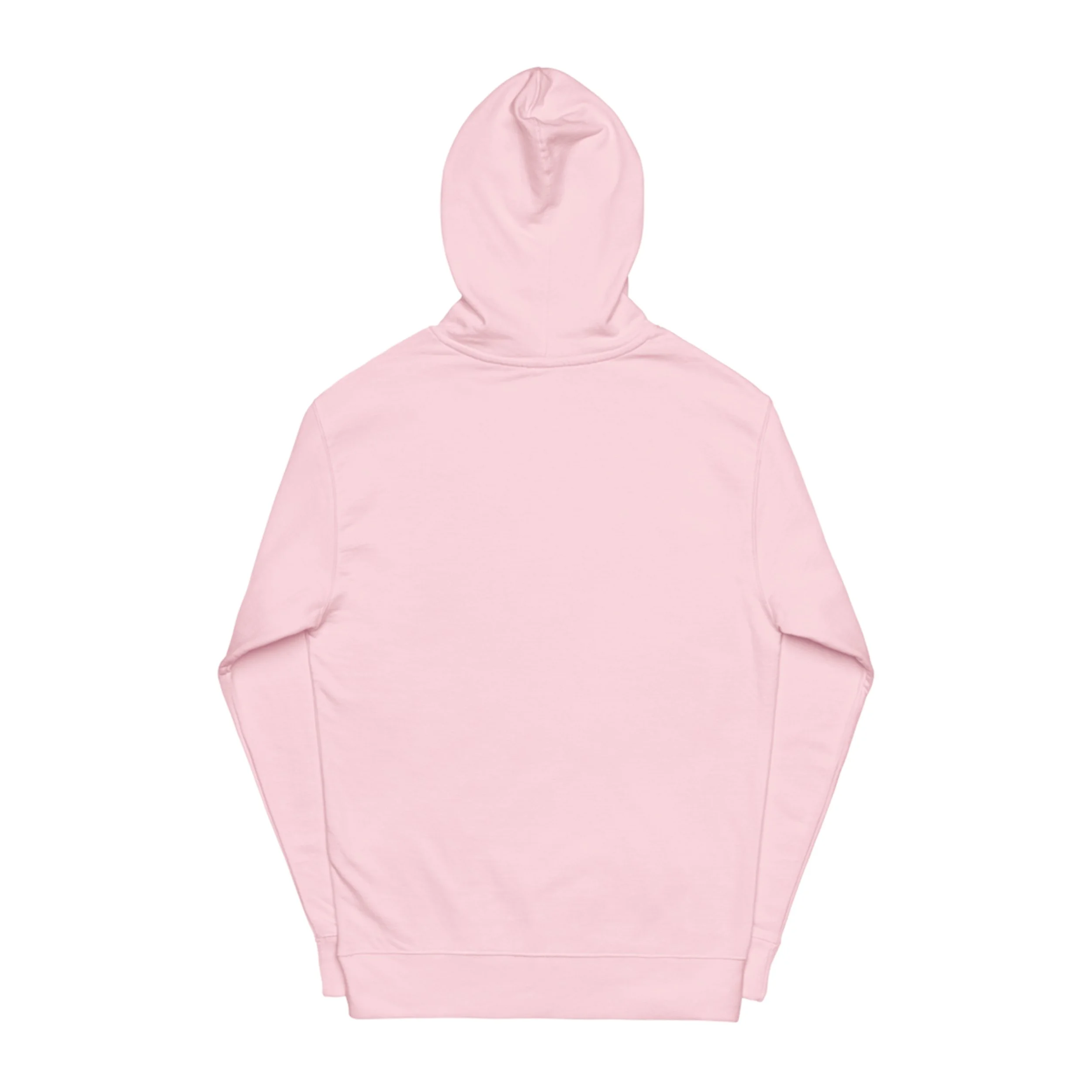 Musical Album Hoodie Back.jpg