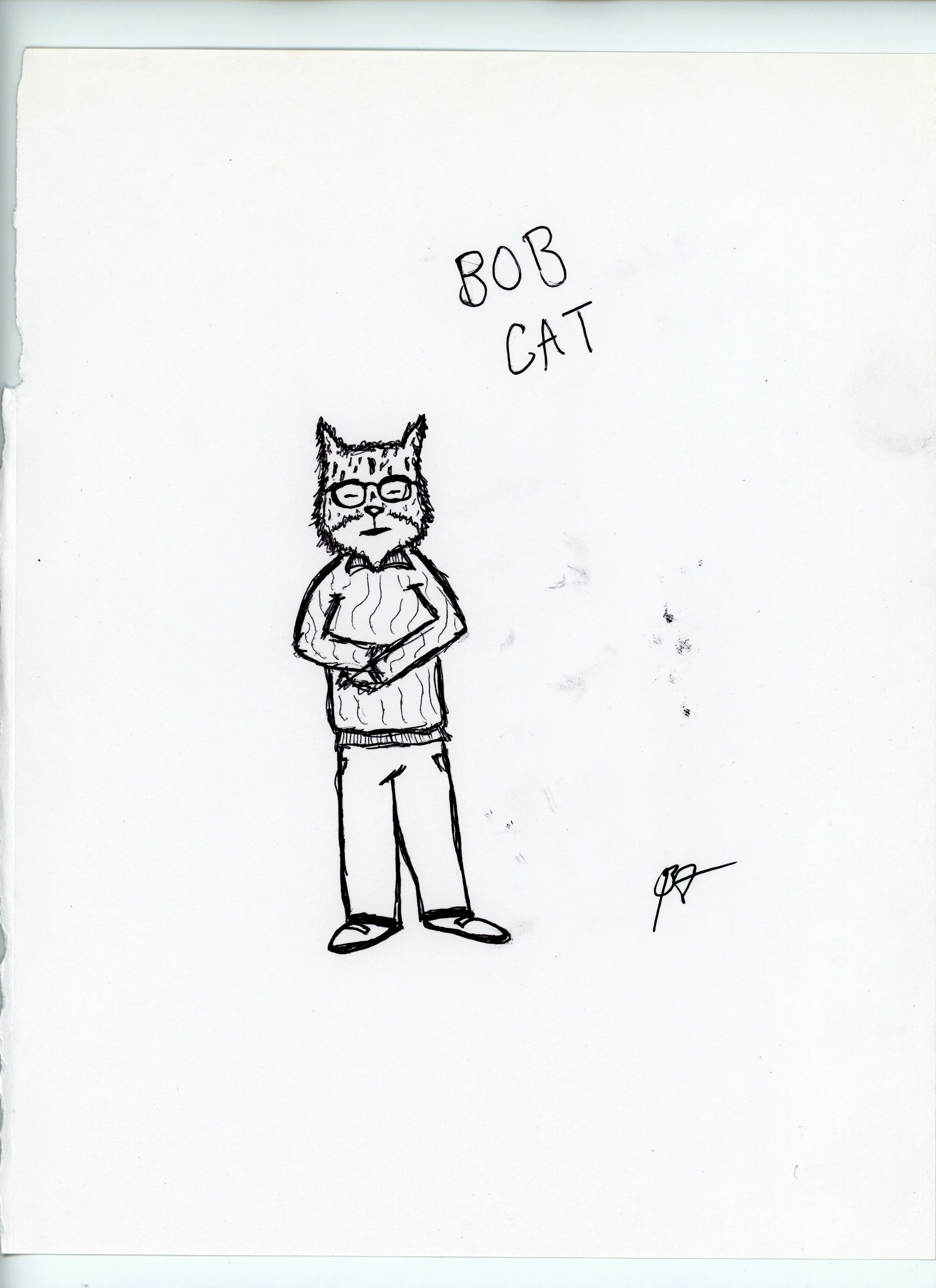 bob cat jpeg.jpg