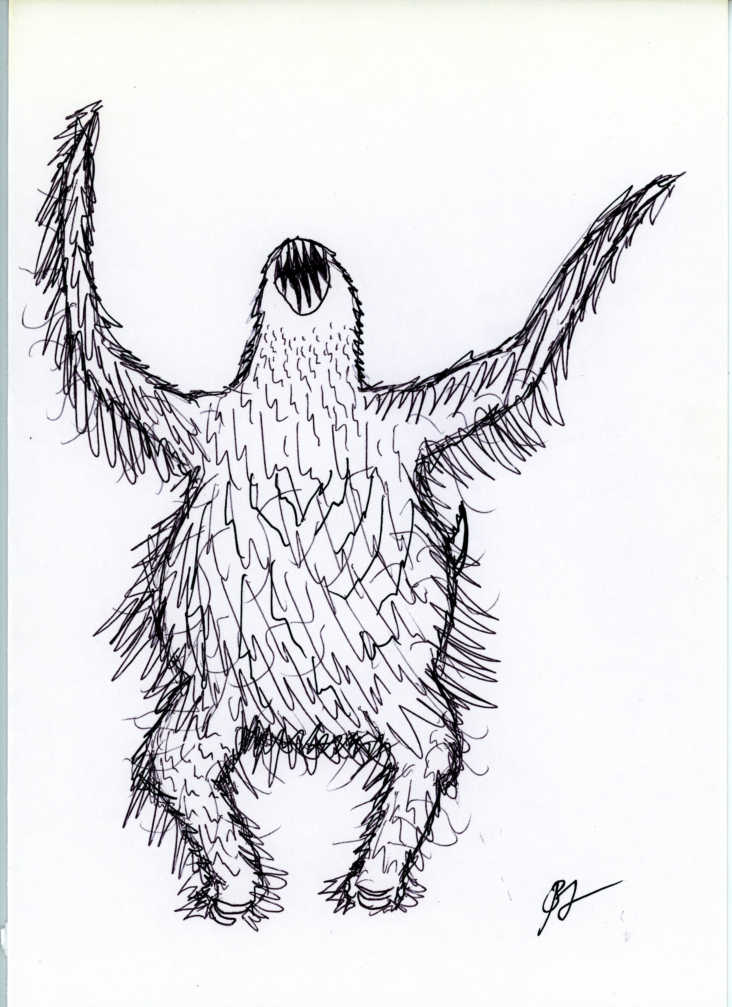 sloth 2 jpeg.jpg