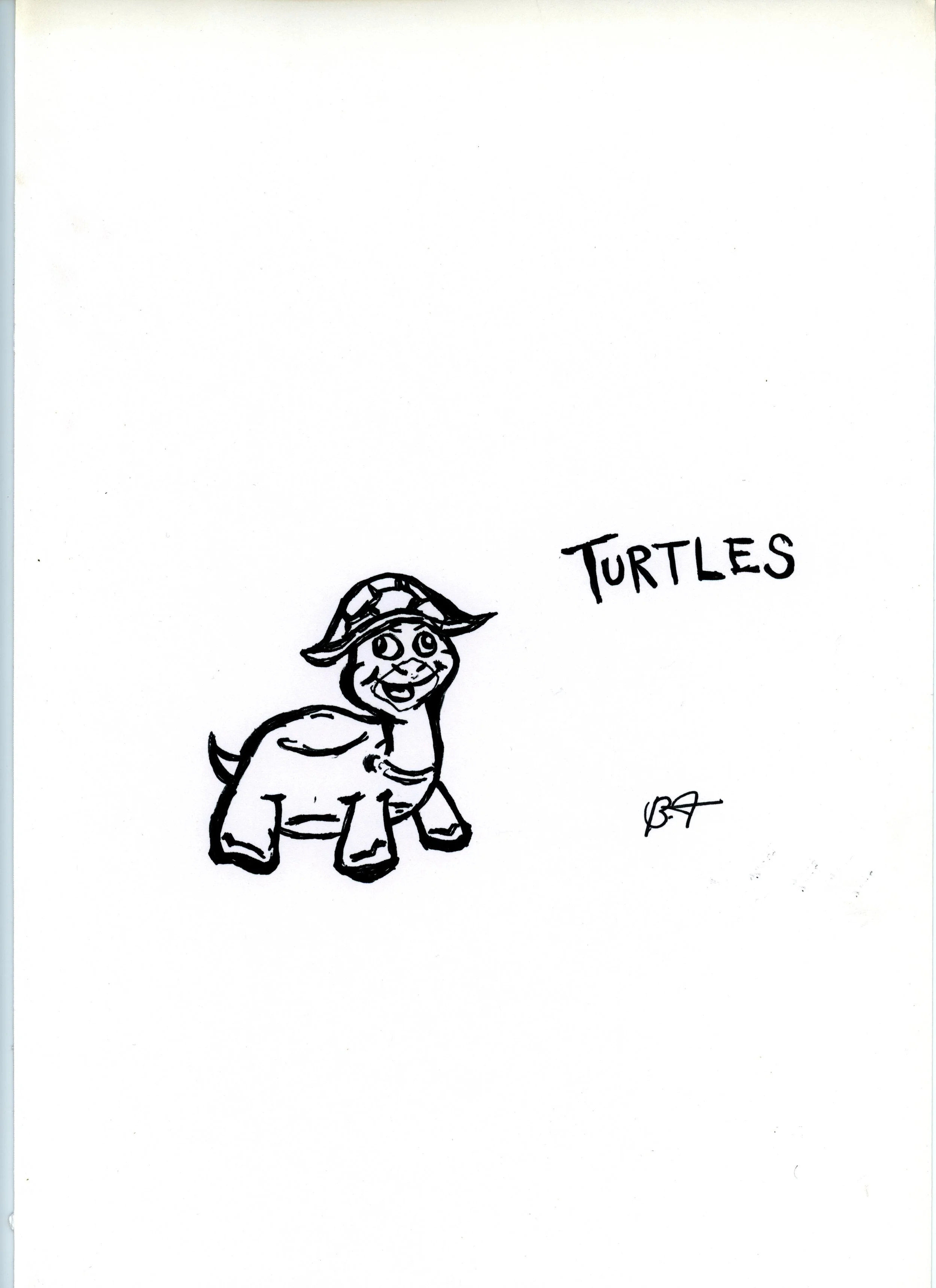 turtles jpeg.jpg