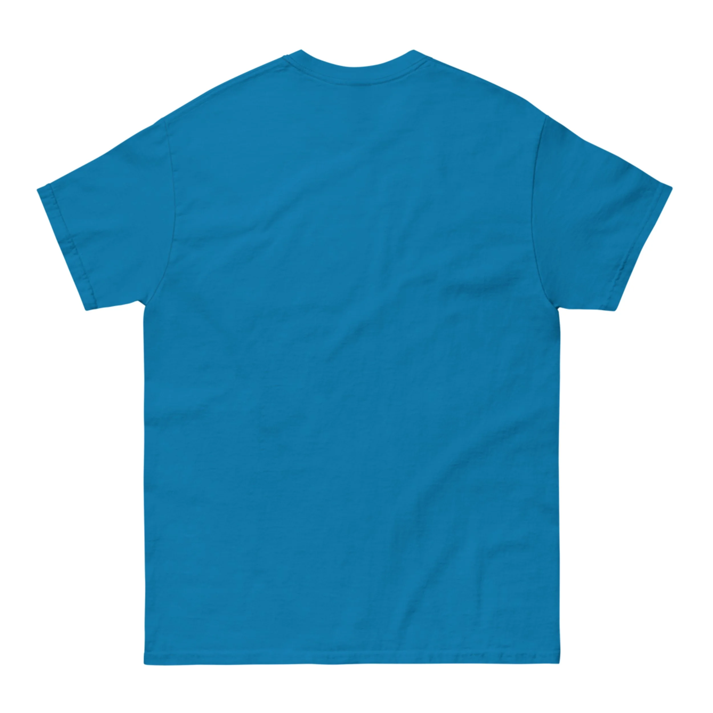 Stolen Painting Short Sleeve Back.jpg