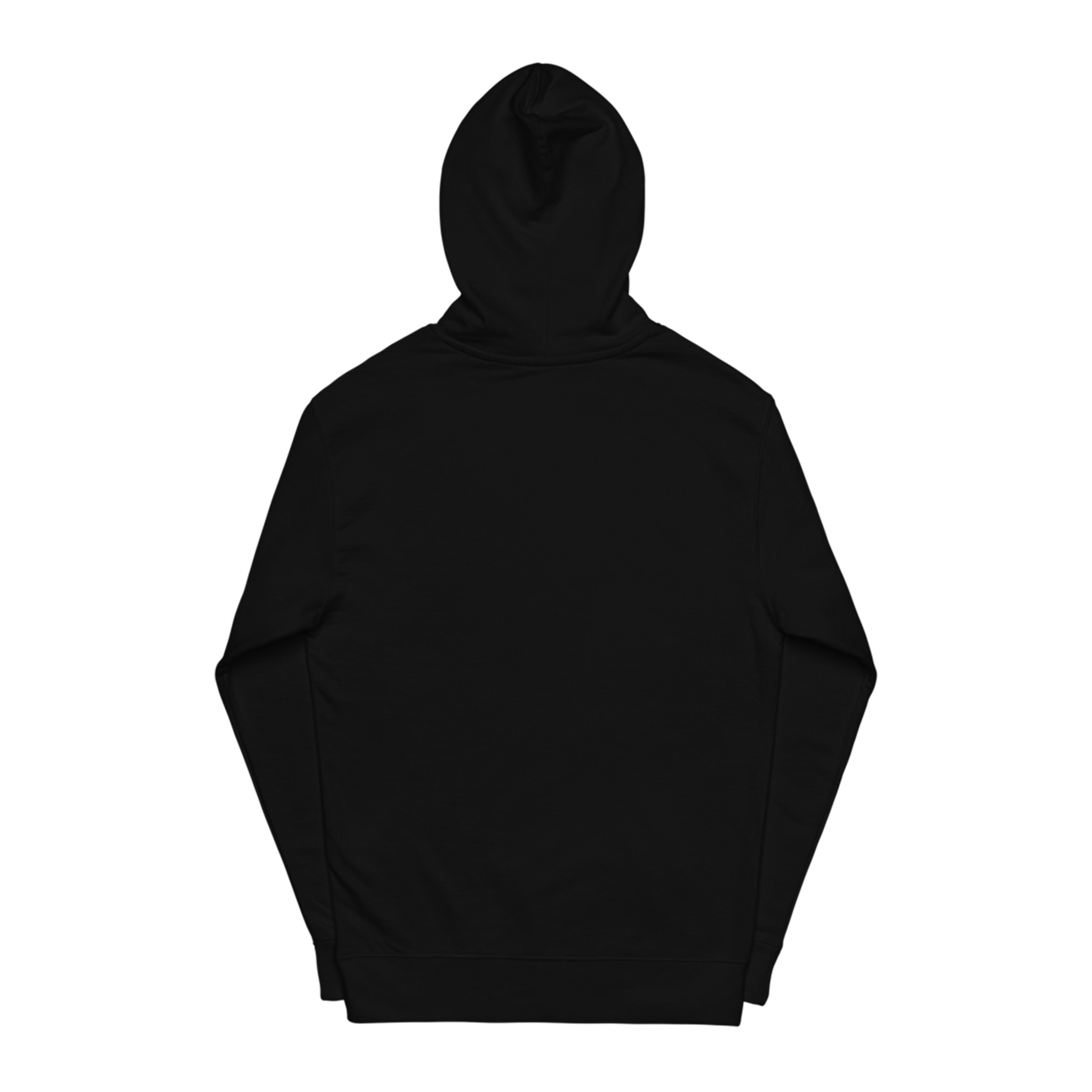 Album Title Hoodie Back JPEG.jpg