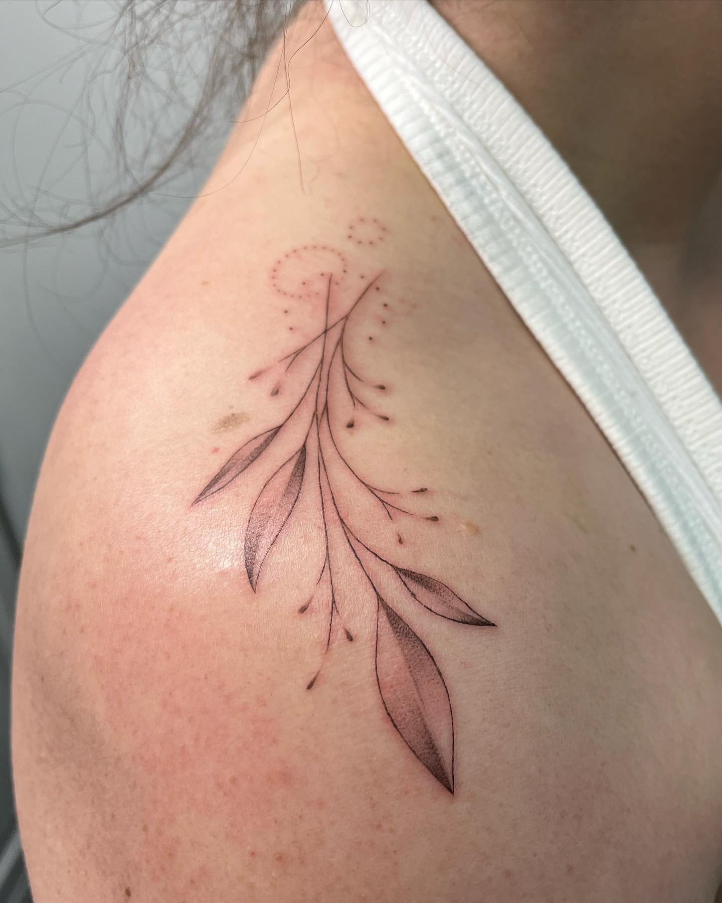 sometimes the most beautiful tattoos are the most difficult to photograph 🥲🩵🌱 these top of the shoulder branches are so lovely and delicate! please excuse my horrendous photography skills and let your imagination show the perfect peeks of leaves a