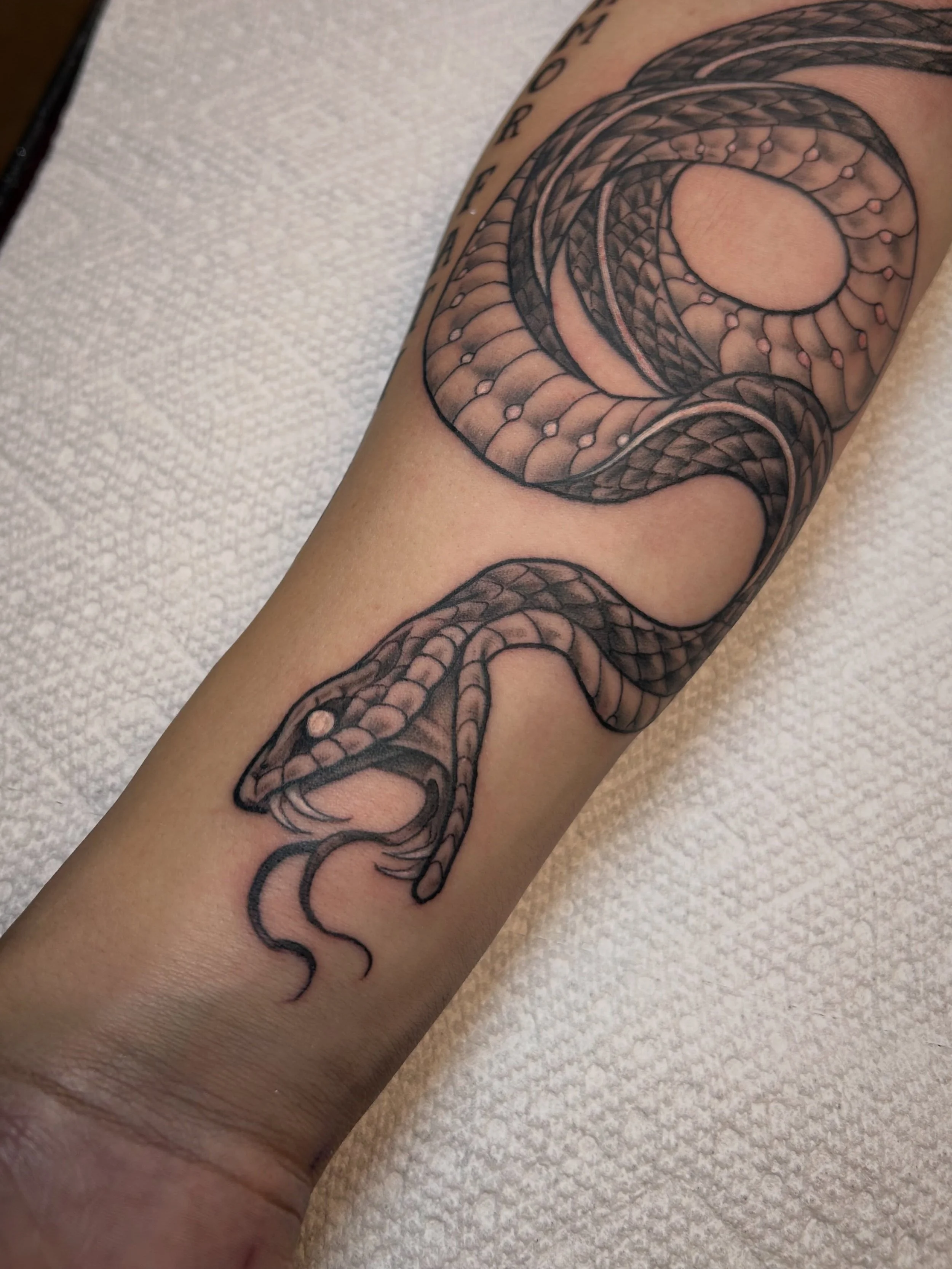 Let me make your next snake for you!! 🐍🐍🐍
Fill out a request form in my bio to book for September and October 
.
#hsss #snaketattoo #boston #tattoos #art