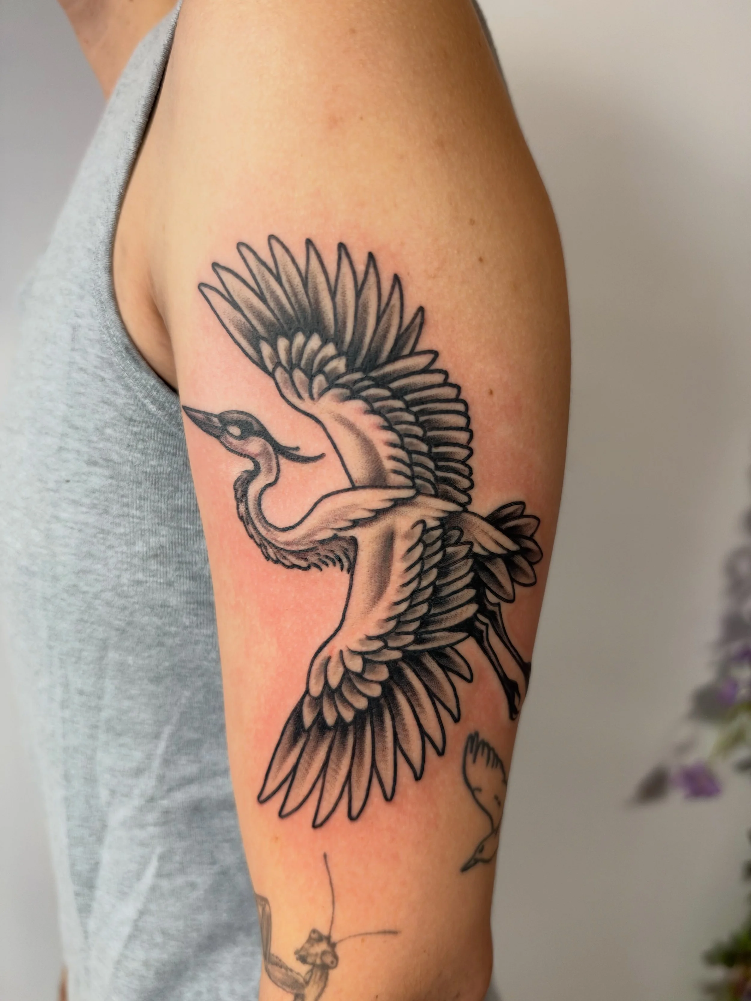 A blue heron!!! I had so much fun making this, thank you ❤️ Booking October fill out a form in my bio!
.
#tattoos #blueheron #birdtattoo #americantraditionaltattoo #illustration