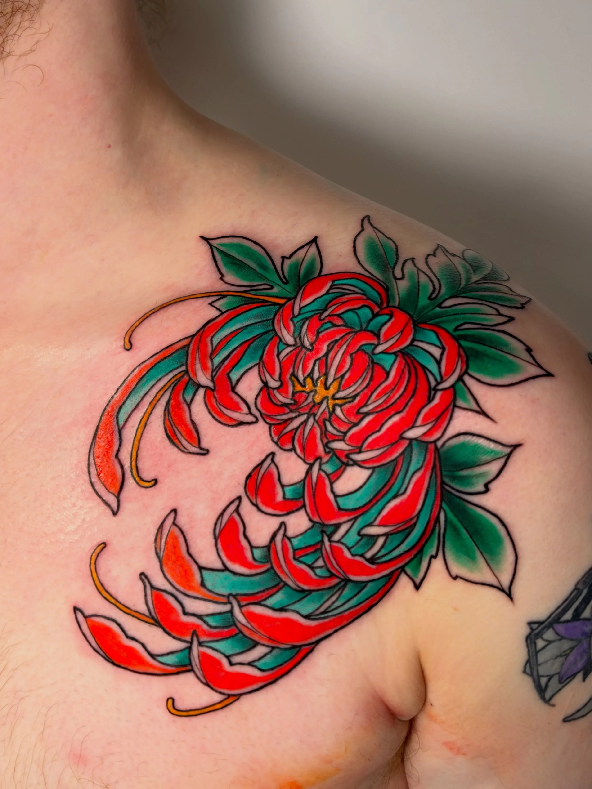 IN LOVE with how this full color predrawn chrysanthemum came out! More color pieces please!
Fill out an inquiry in my bio to book!
.
#chrysanthemum #colortattoo #flowertattoo #flash #boston