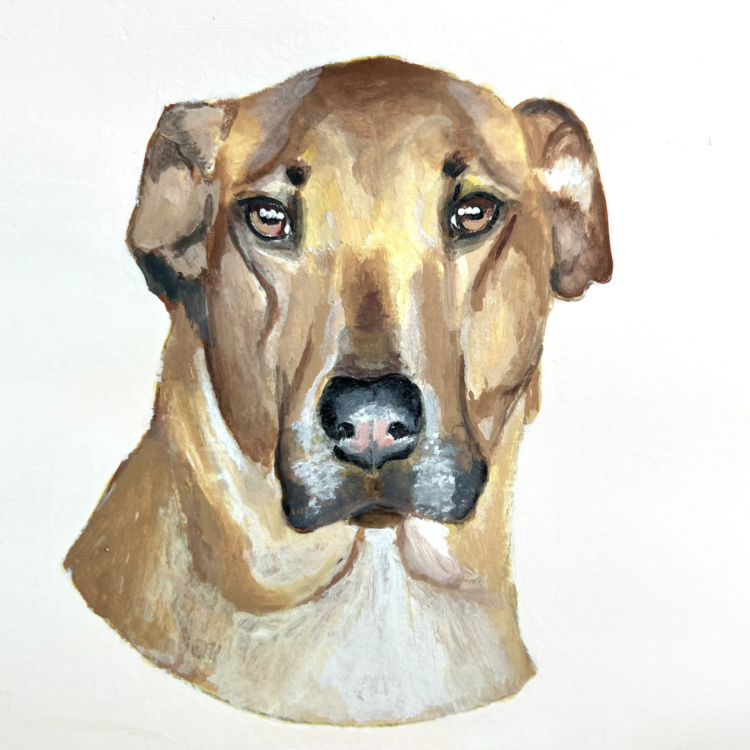 "Oliver" (2025), Acrylic on paper, 4"x4"