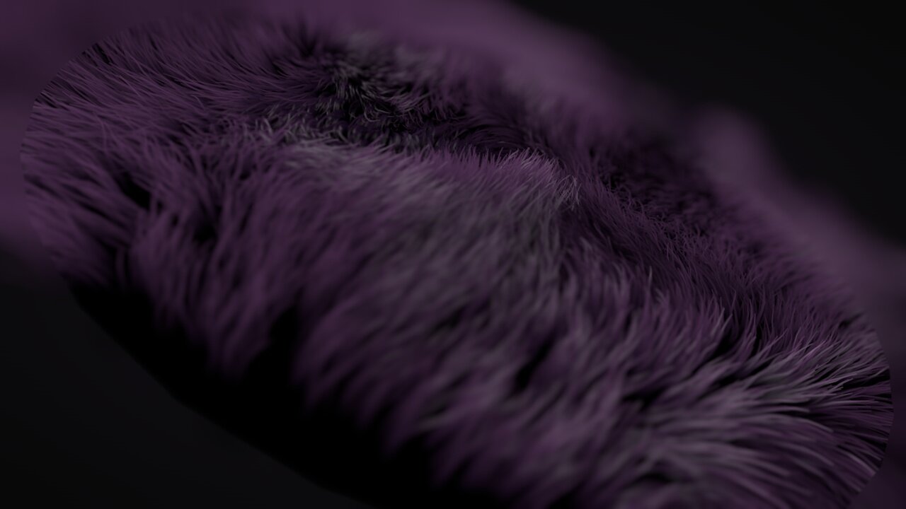 PURPLE_HAIR_3_0056.jpg