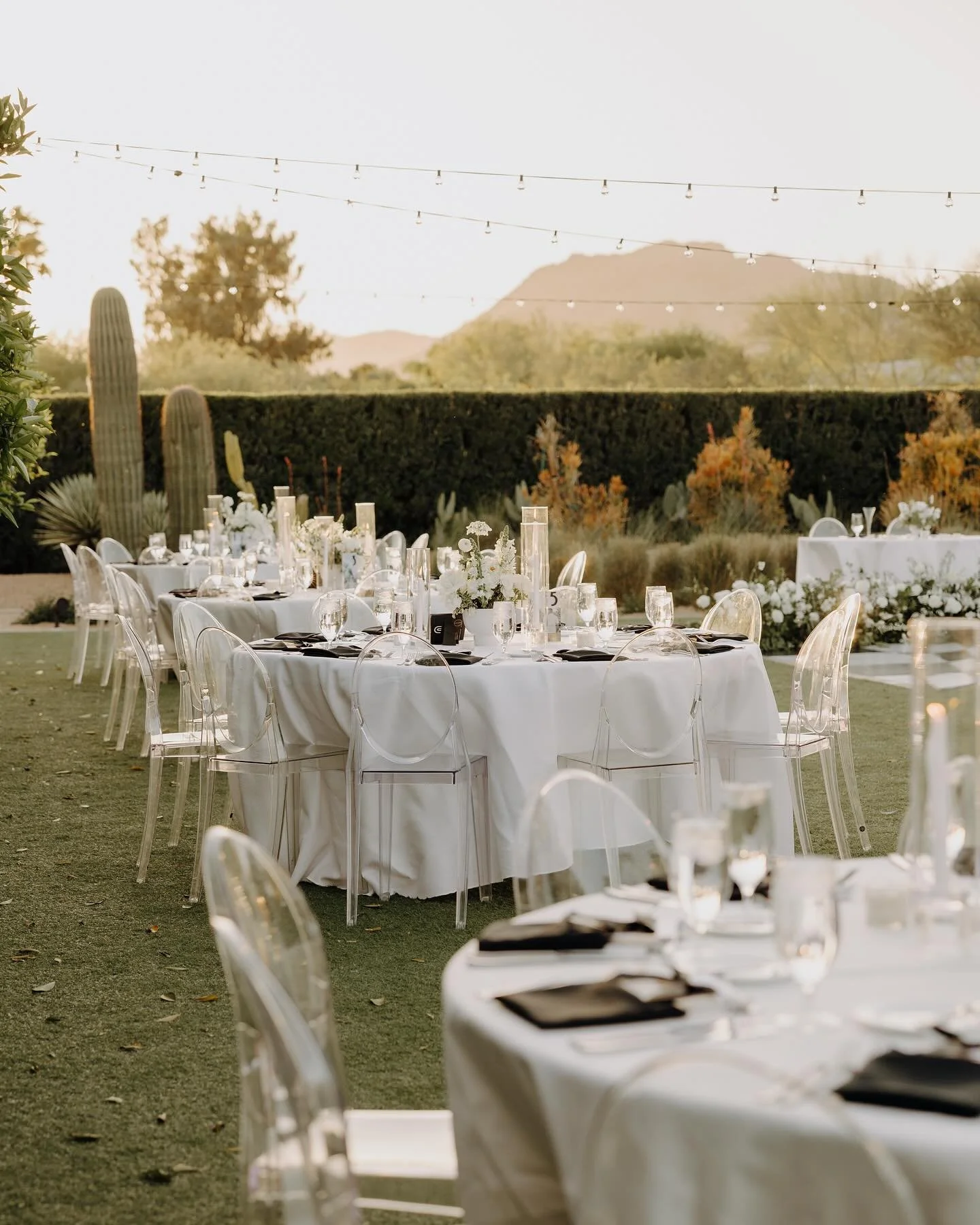 The elegance of Ghost Chairs and our custom lighting&hellip; chef&rsquo;s kiss. No better pair! 

#arizonaweddings #azwedding #arizonawedding #azweddings #phoenixwedding #weddingphotography #wedding #phoenixweddings #arizonabride #weddinginspiration 