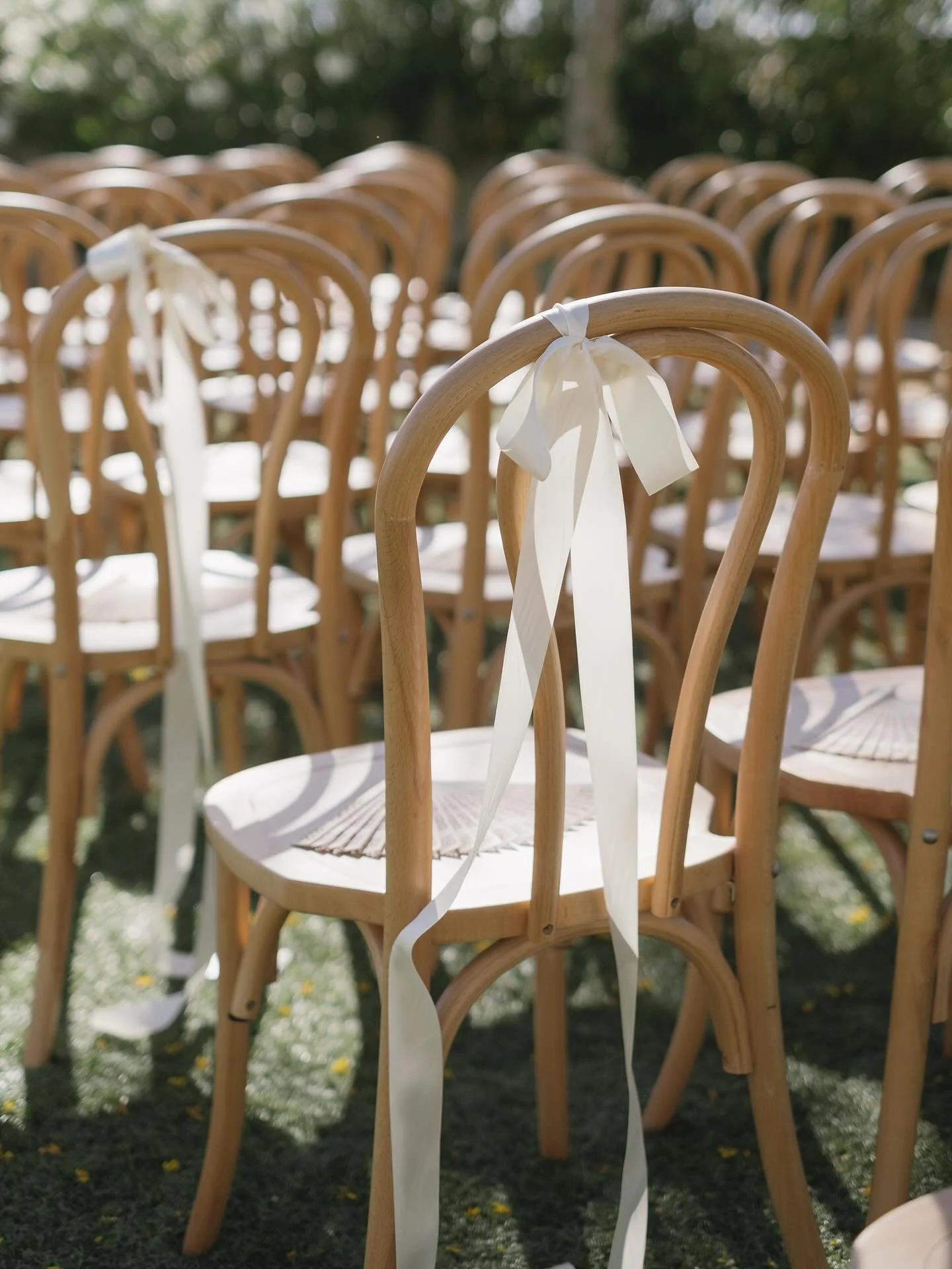 Our Bentwood Chairs are booking quick! The perfect elevated seating + you can add personal touches. Are you loving the Natural or Black?! ✨