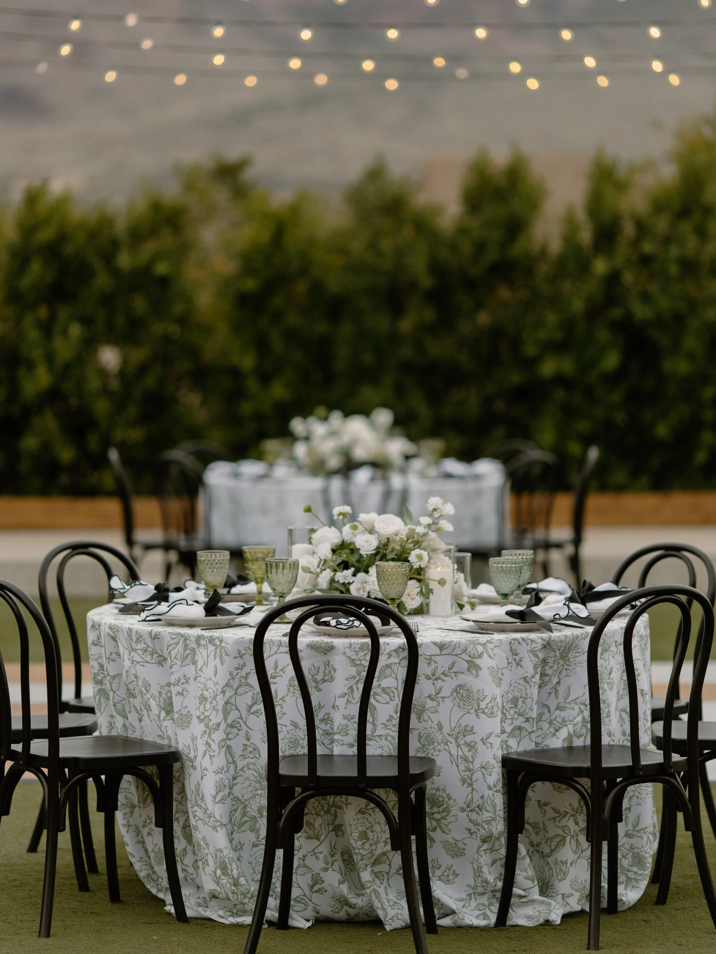 Black bentwood chairs having their moment 👏🏼

#arizonawedding #eventrentalsarizona #arizonabride #phoenixwedding #arizonaeventrentals