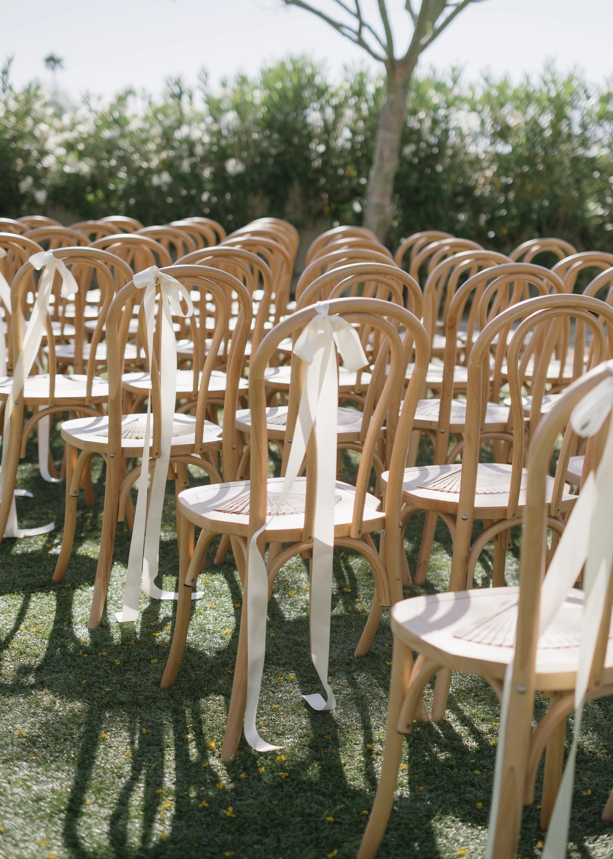 Rows of wooden chairs with white ribbons tied to their backs, set outside on grass for an event, with a tree and green bushes in the background.