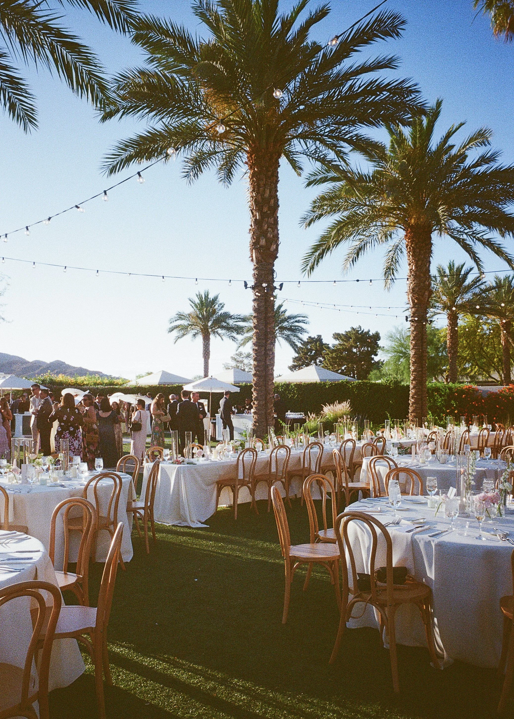 Outdoor event setup with round tables covered in white tablecloths, surrounded by wooden chairs. Tall palm trees and string lights decorate the area, with people dressed formally in the background, suggesting a celebration or wedding reception during
