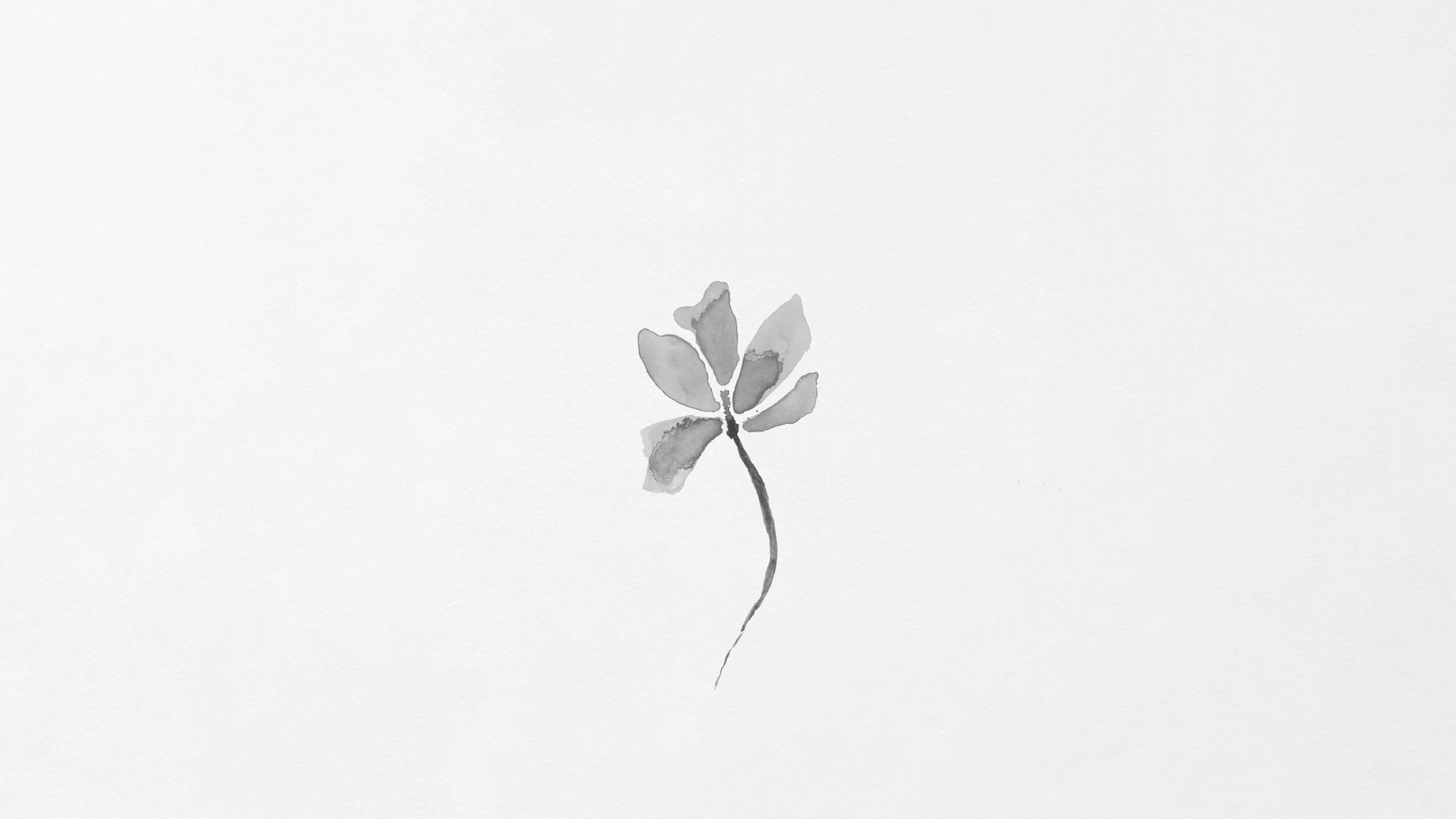 pinkflower wide lower.jpg