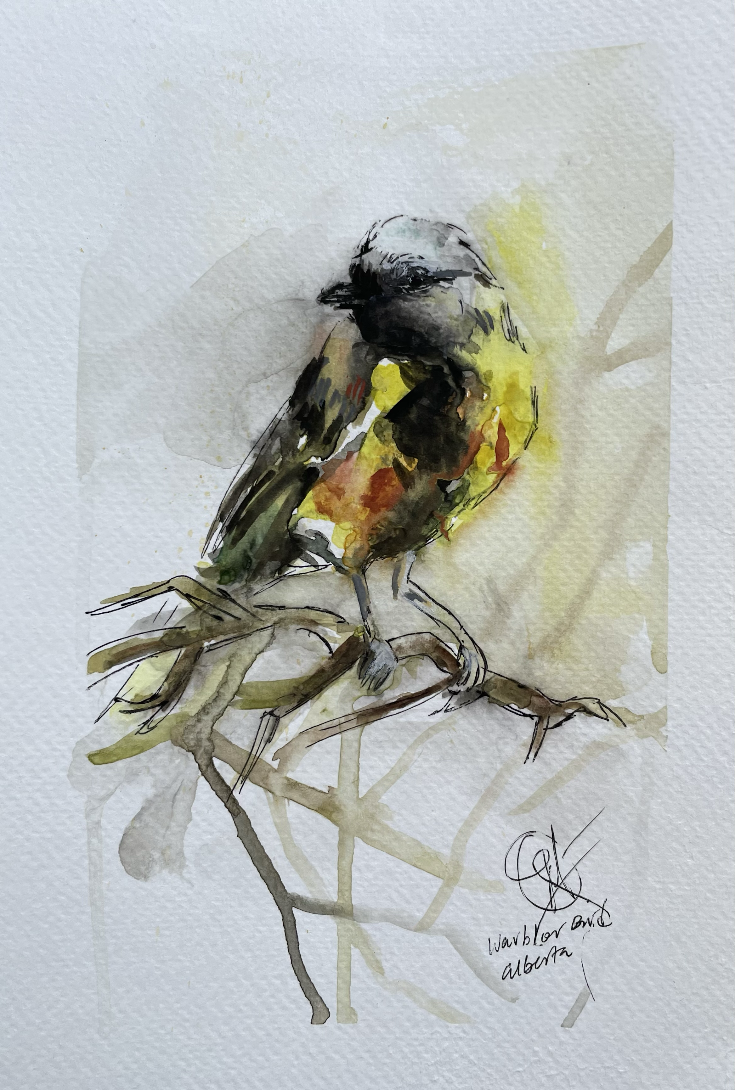 Title: "Finch"
Watercolour on paper