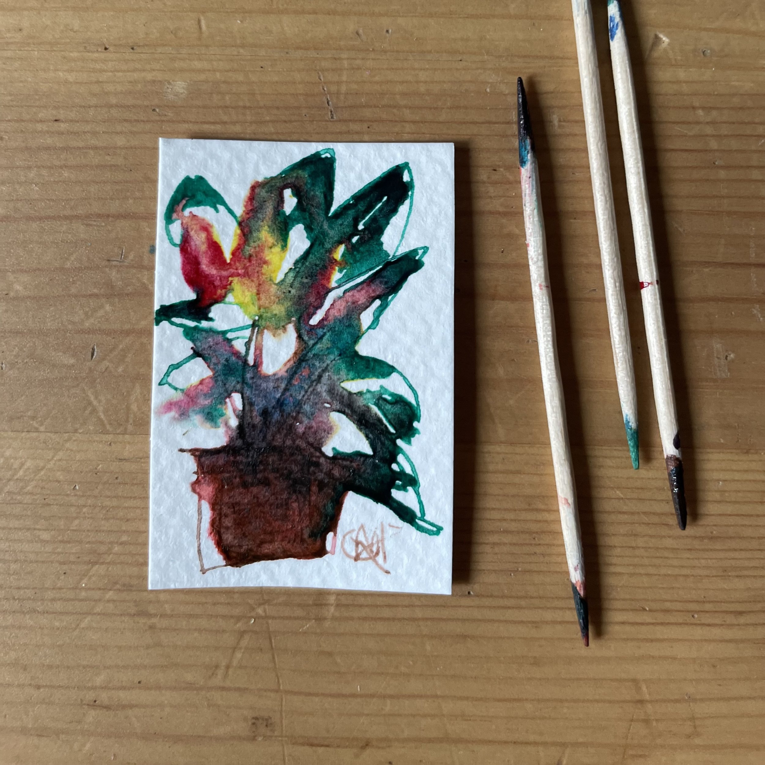 Tiny Plants & Expressive Fine lines