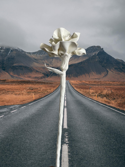 A photoshopped digital of a sculpture of a carnation I made out of porcelain. 