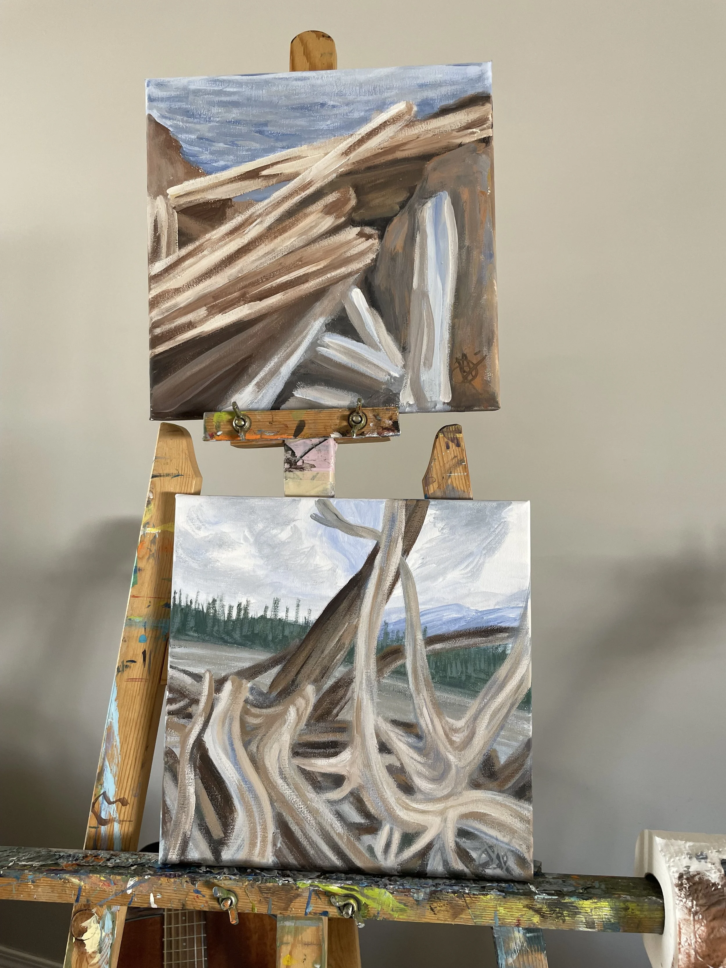 Studies of driftwoods