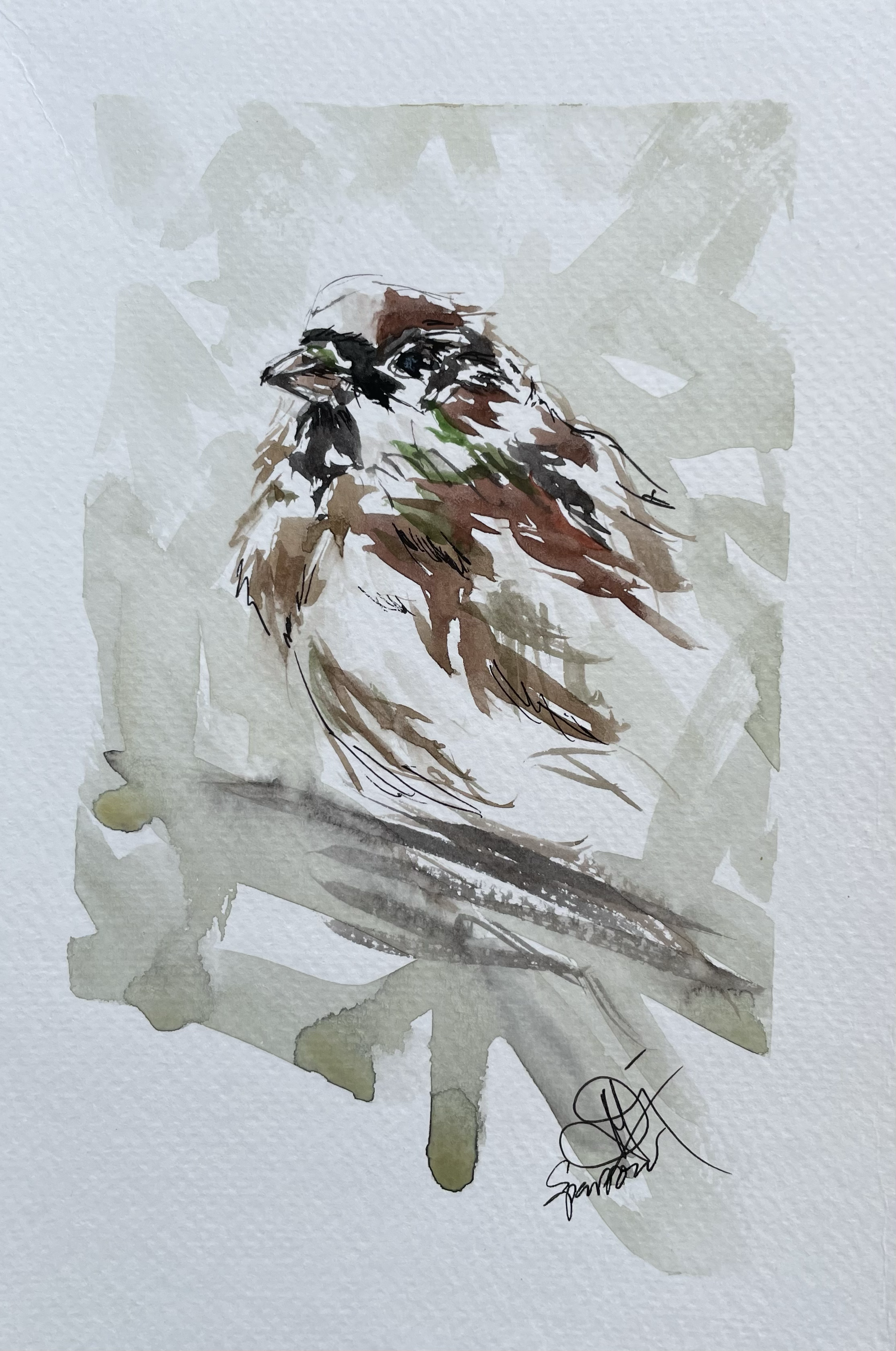 Title: "Sparrow"
Watercolour on paper