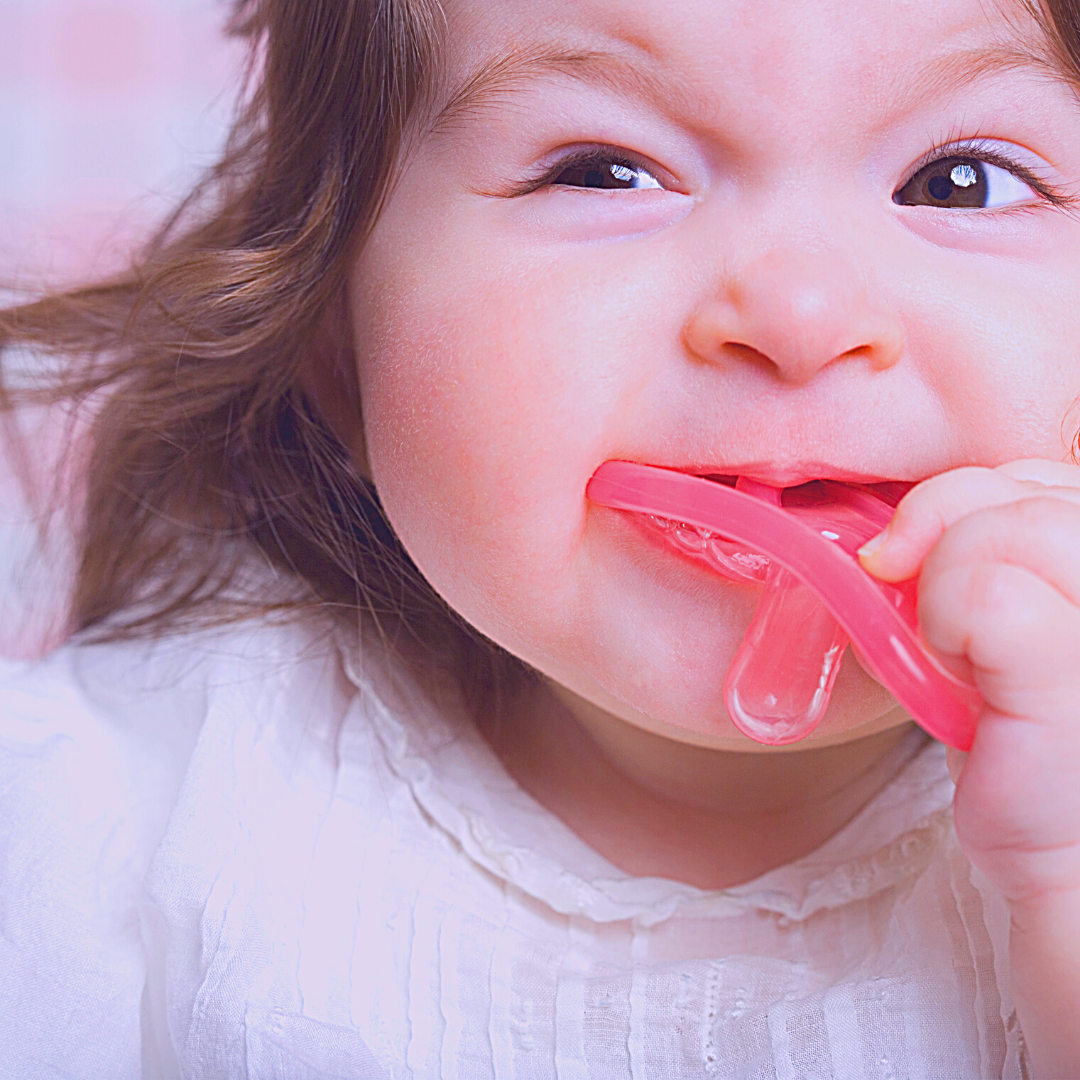 Soft Diets and (Lack of) Facial Growth
