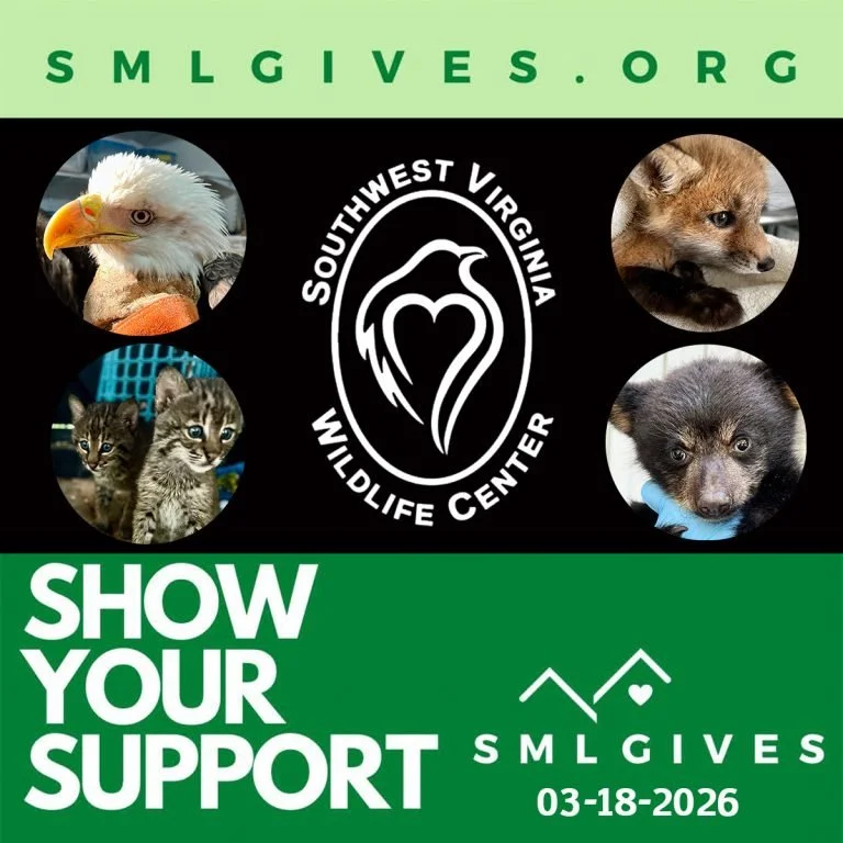 Help Support Local Wildlife
