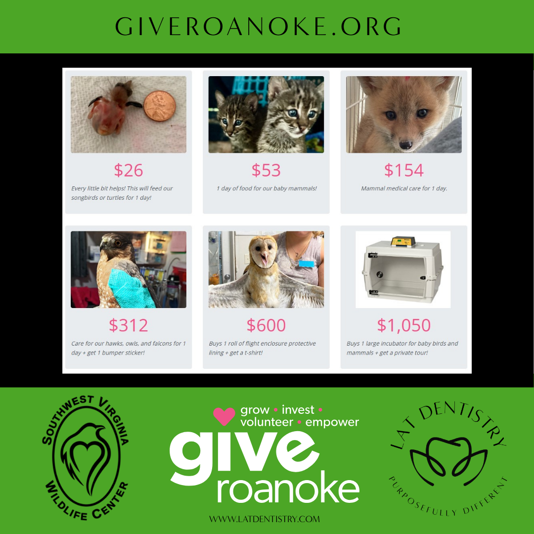 Roanoke Gives Day 2026! 