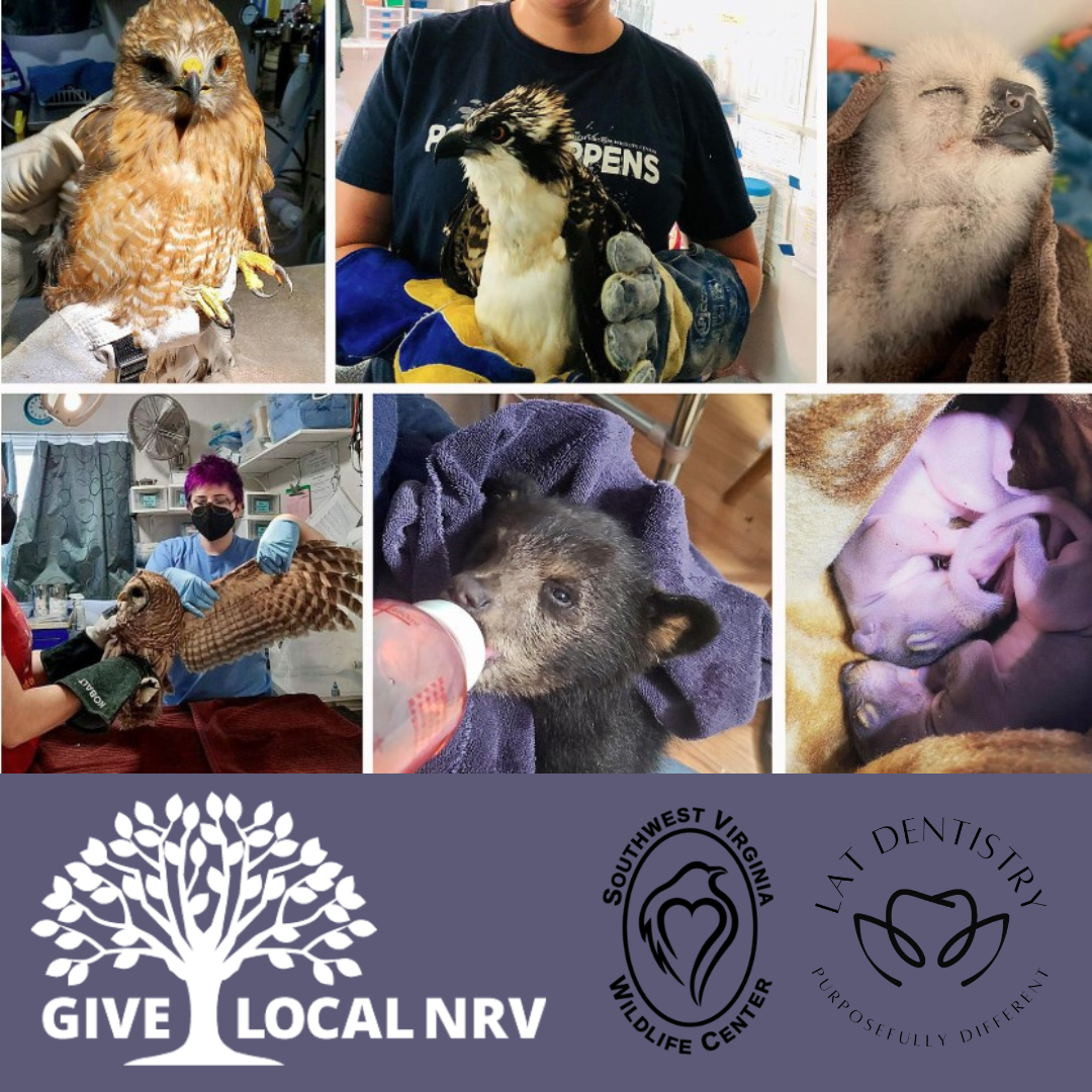 Give Local NRV 2026 for the Southwest Virginia Wildlife Center