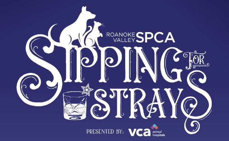 LAT’s Spring Charity Recap!